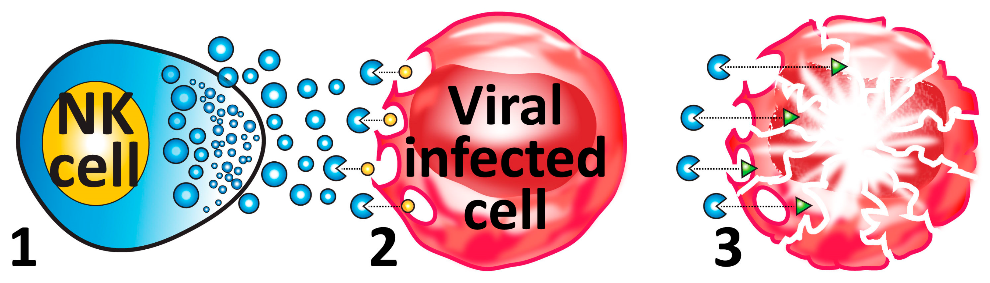 Microorganisms 12 00230 g004 Microorganisms 12 00230 g004