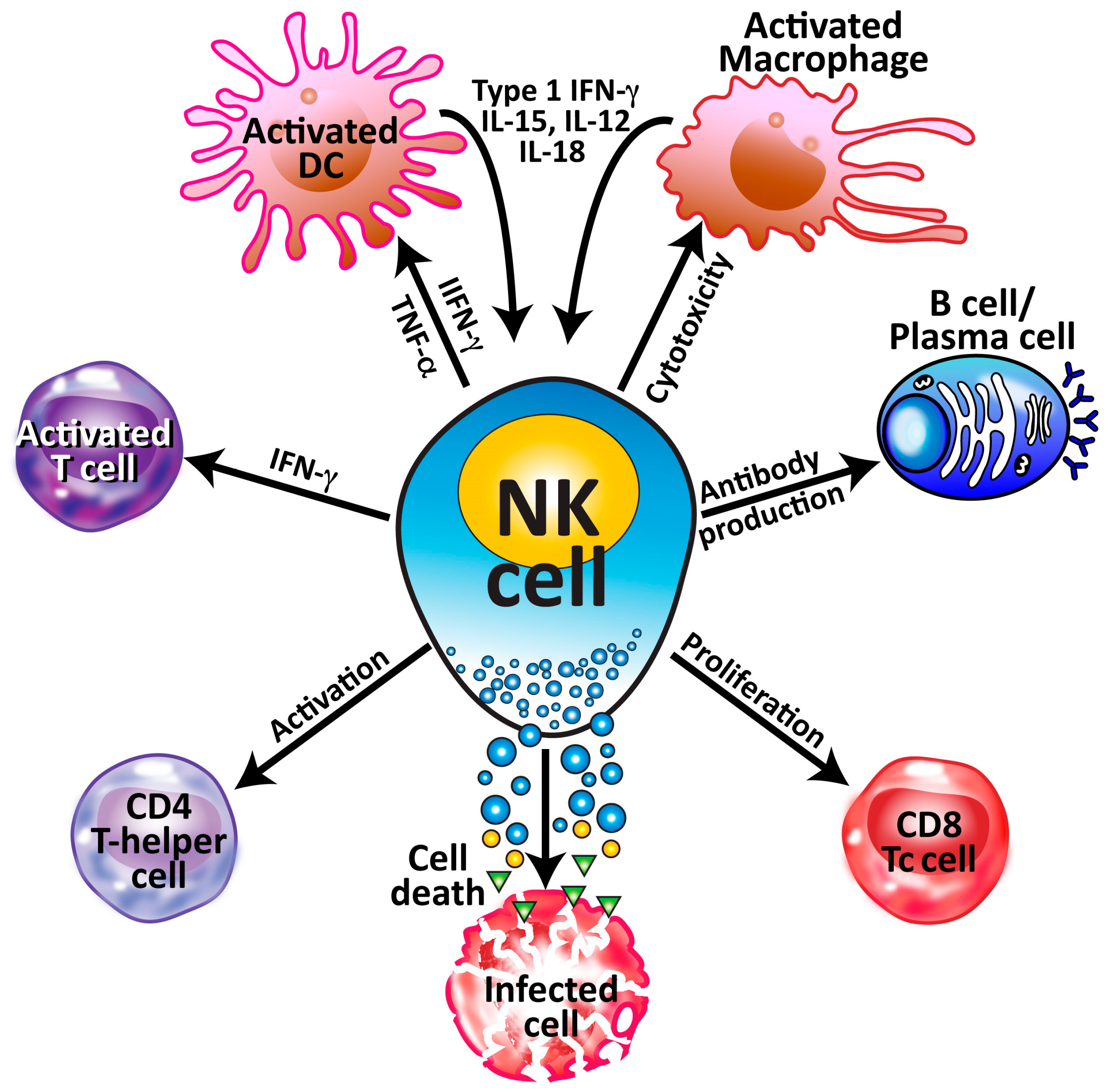 Microorganisms 12 00230 g005 Microorganisms 12 00230 g005