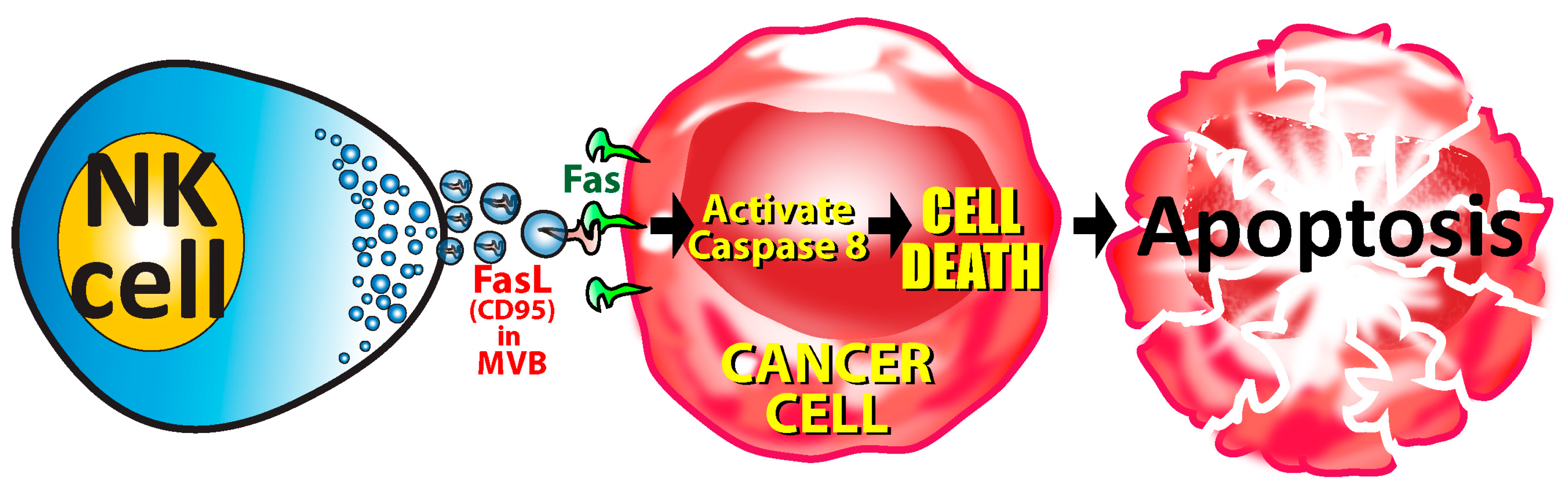 Microorganisms 12 00230 g007 Microorganisms 12 00230 g007