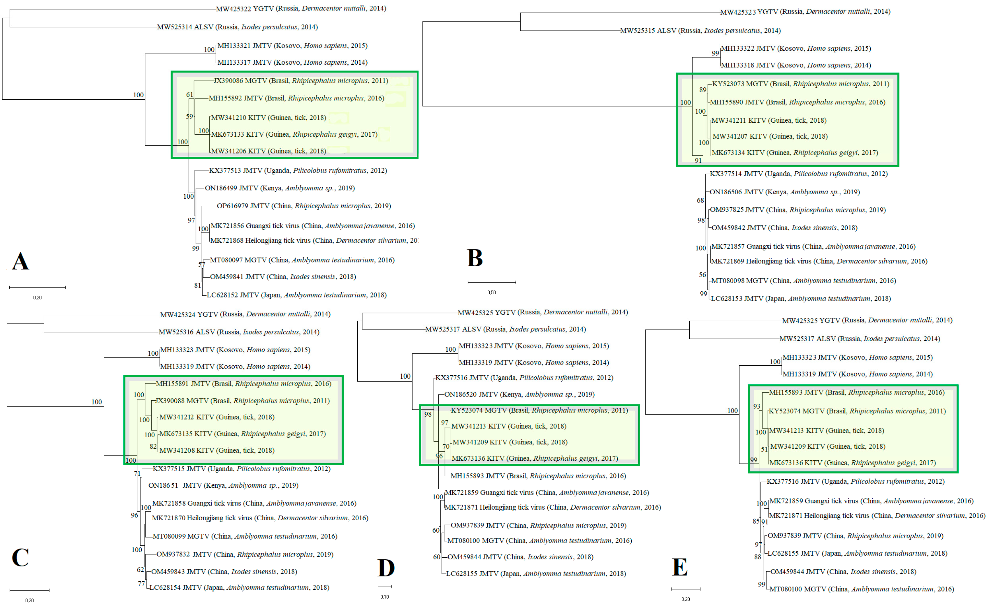 Microorganisms 12 00239 g001