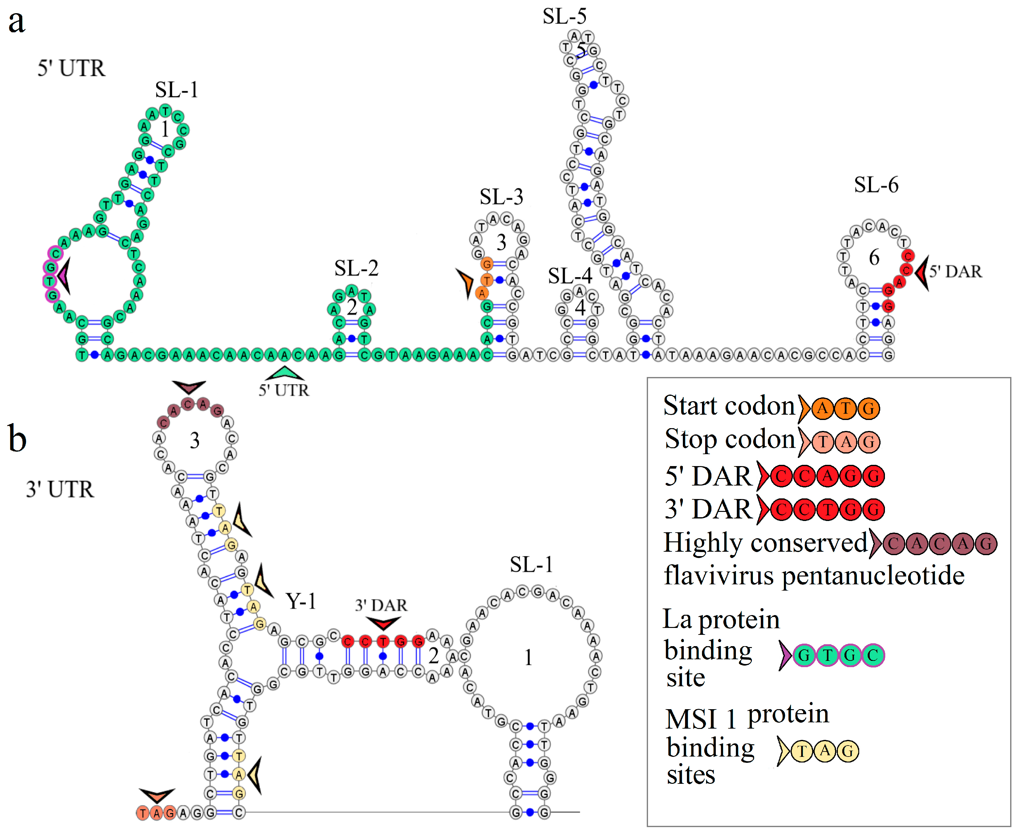 Microorganisms 12 00239 g002