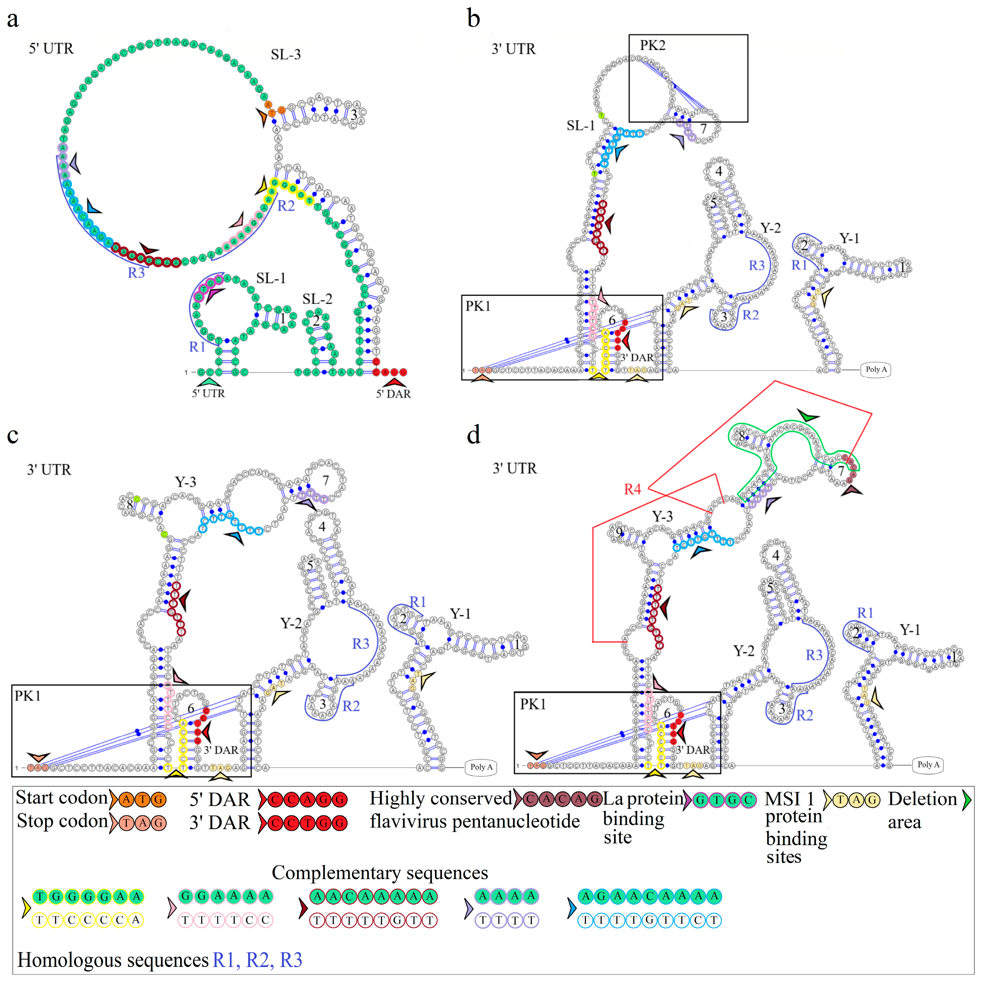 Microorganisms 12 00239 g003