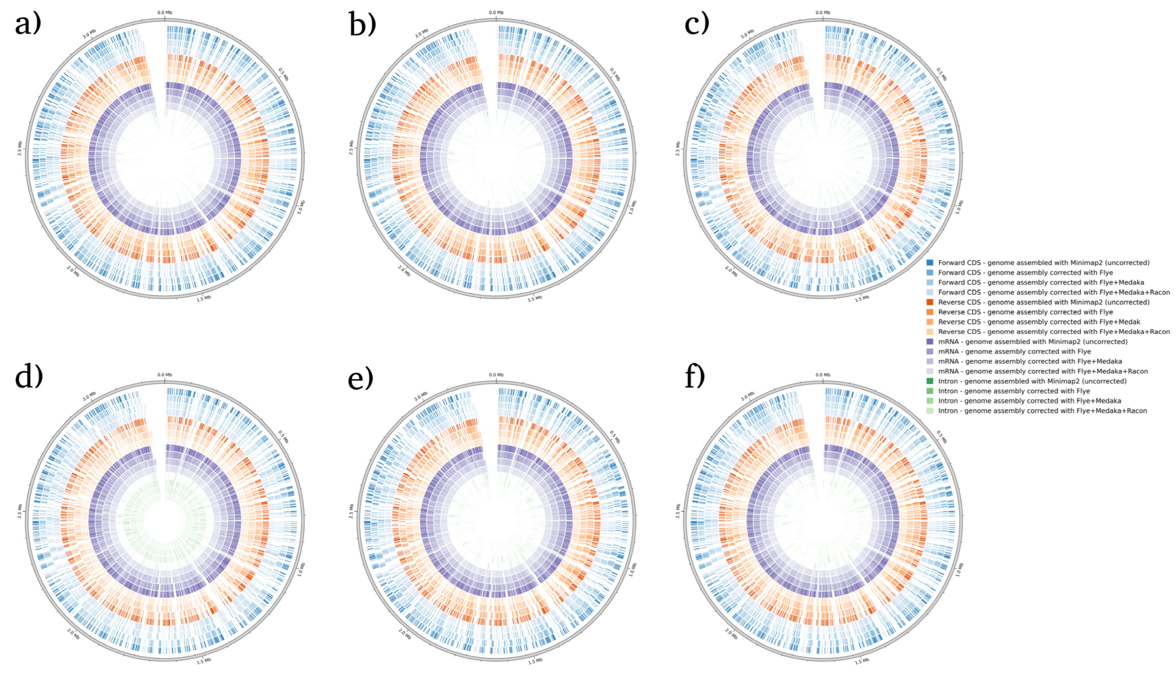 Microorganisms 12 00247 g002