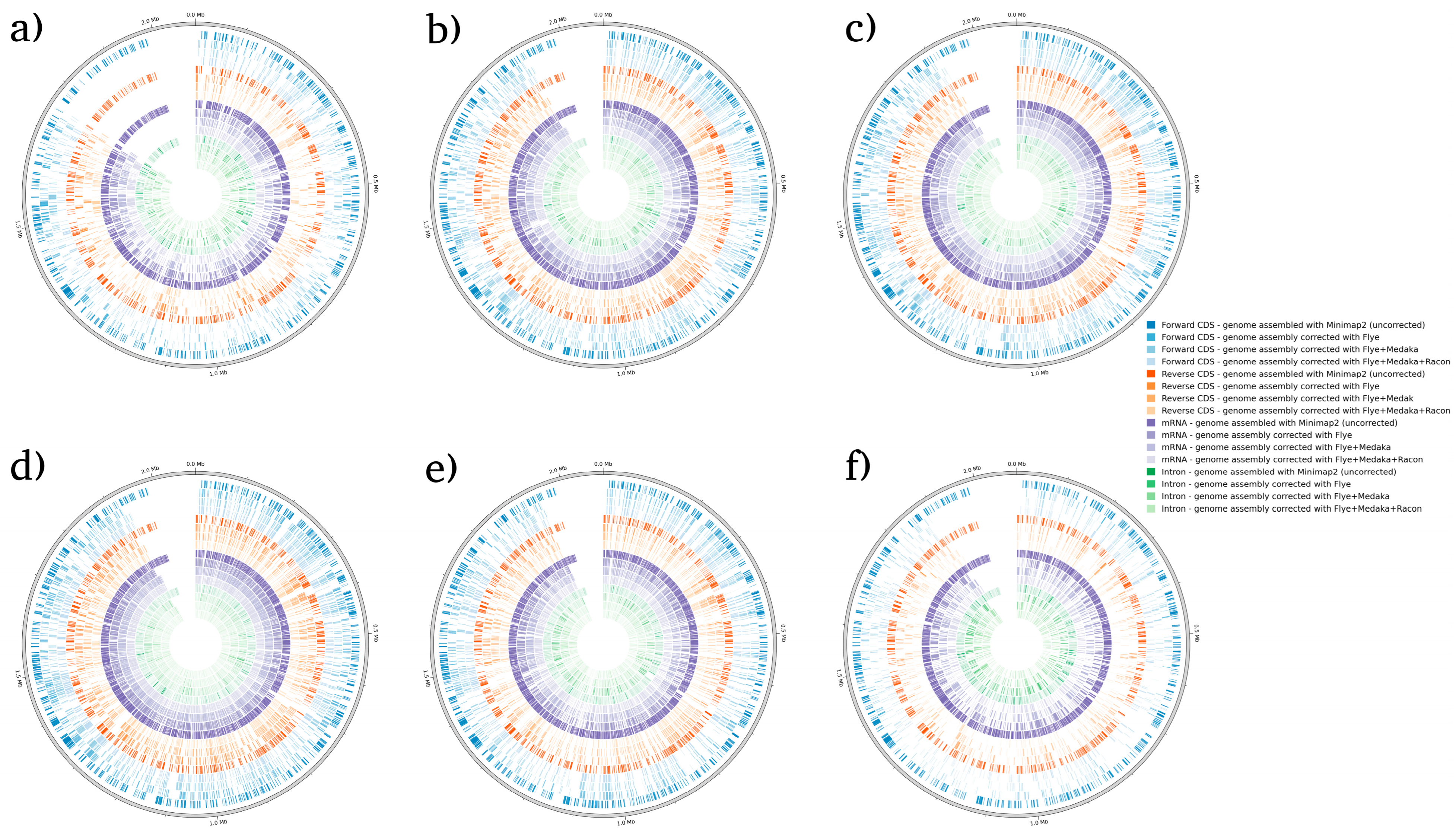 Microorganisms 12 00247 g003