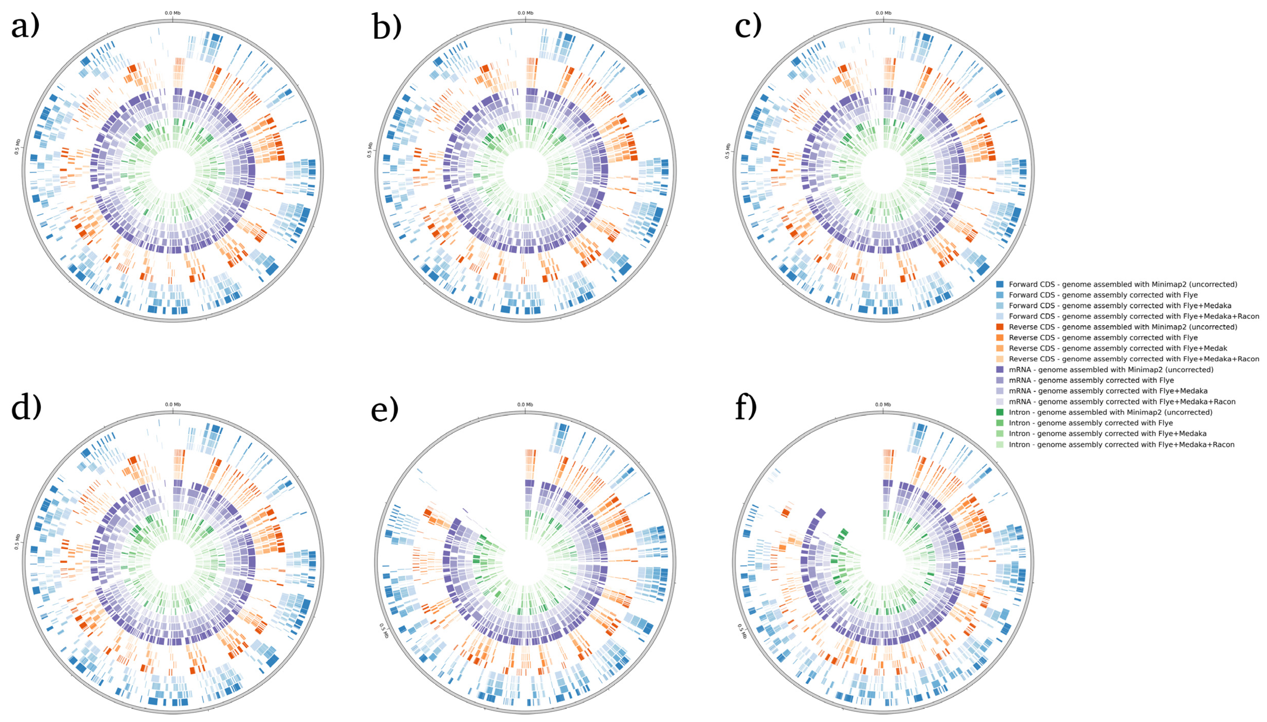 Microorganisms 12 00247 g005