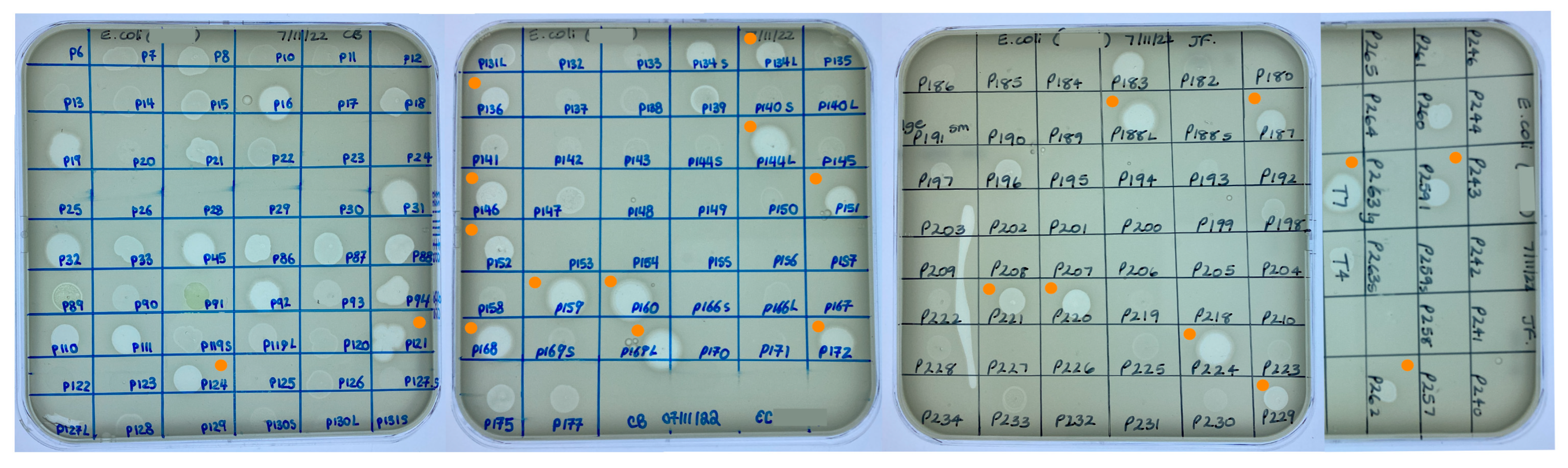 Microorganisms 12 00253 g003