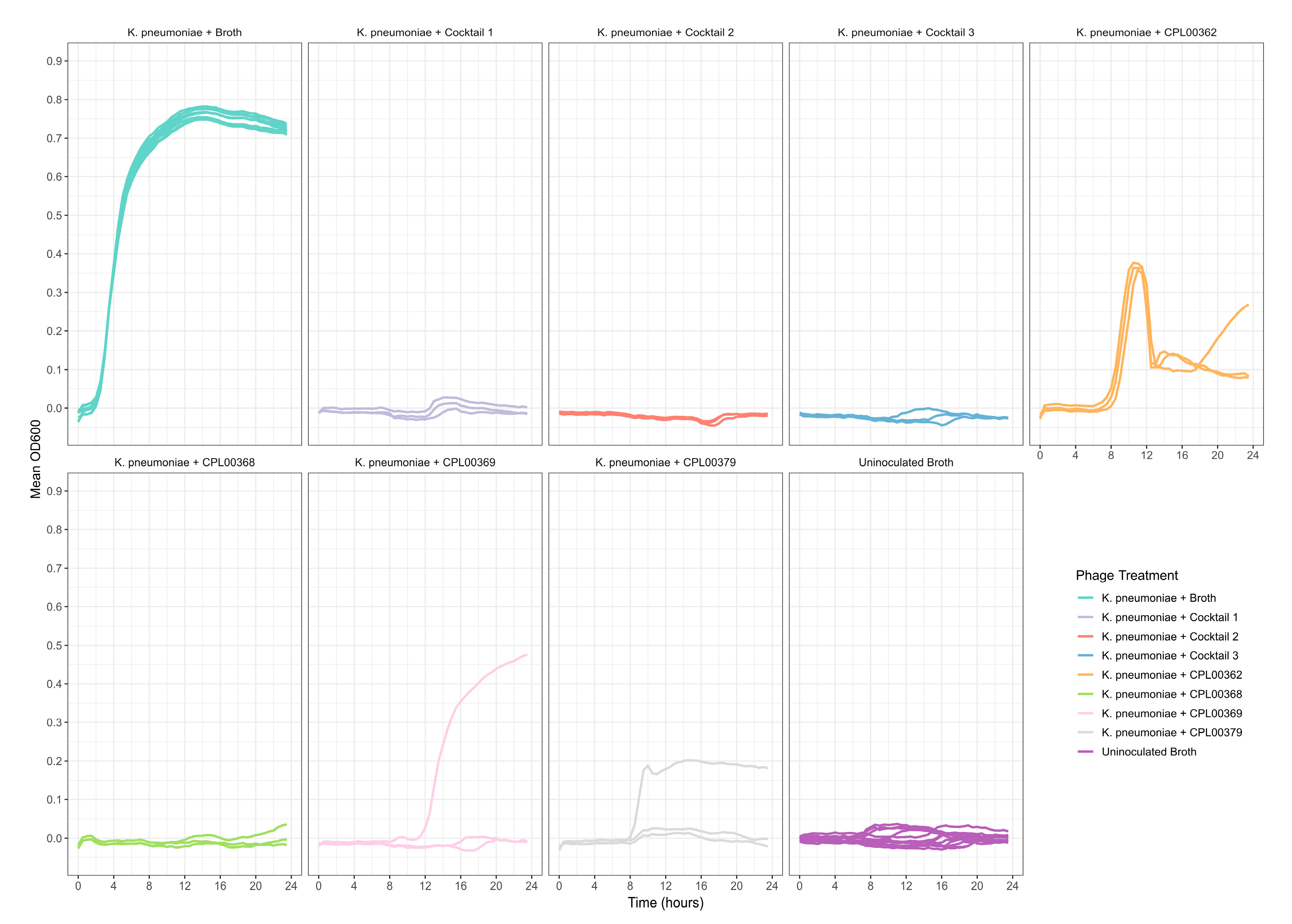 Microorganisms 12 00253 g006