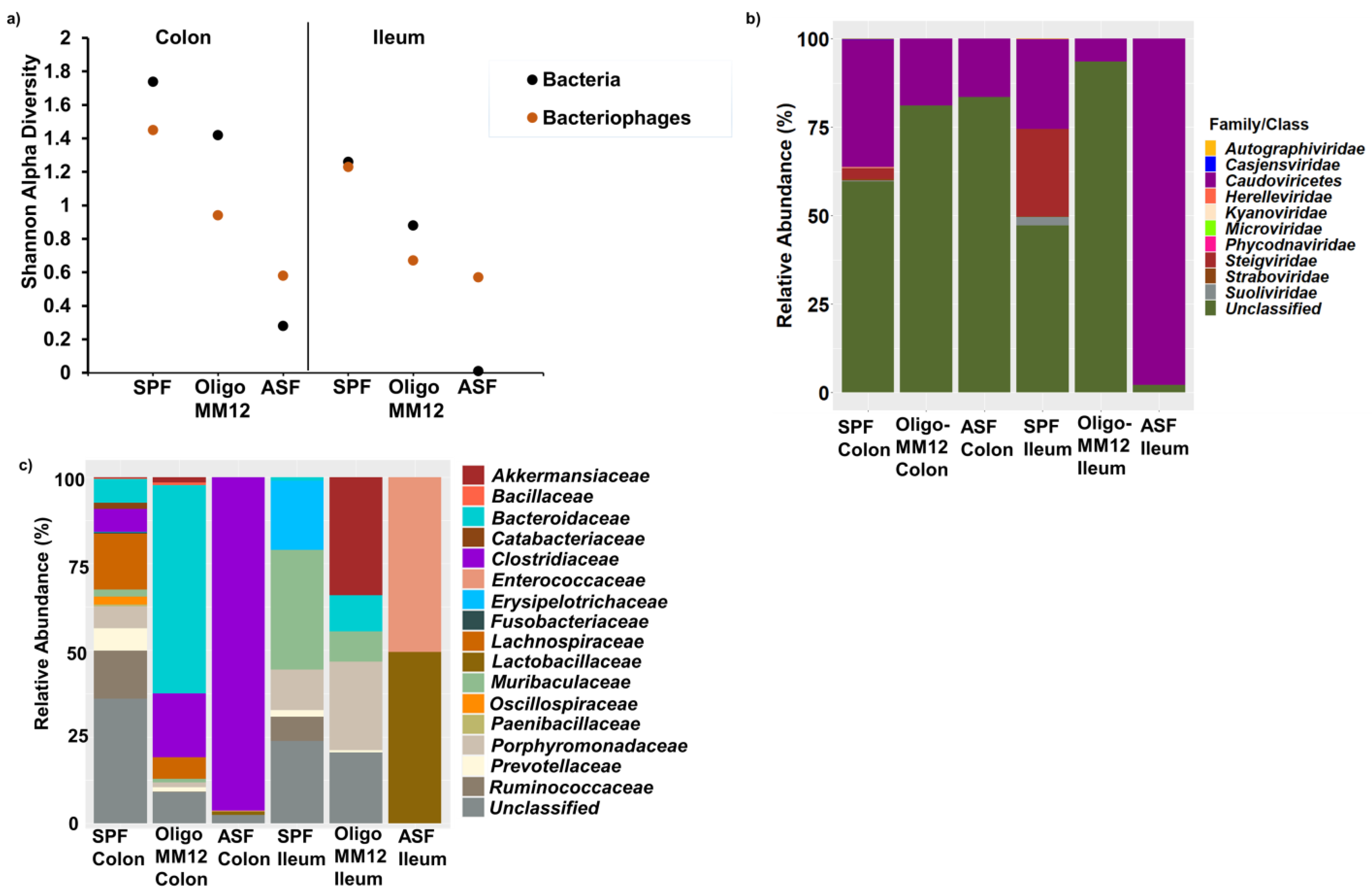 Microorganisms 12 00255 g002a