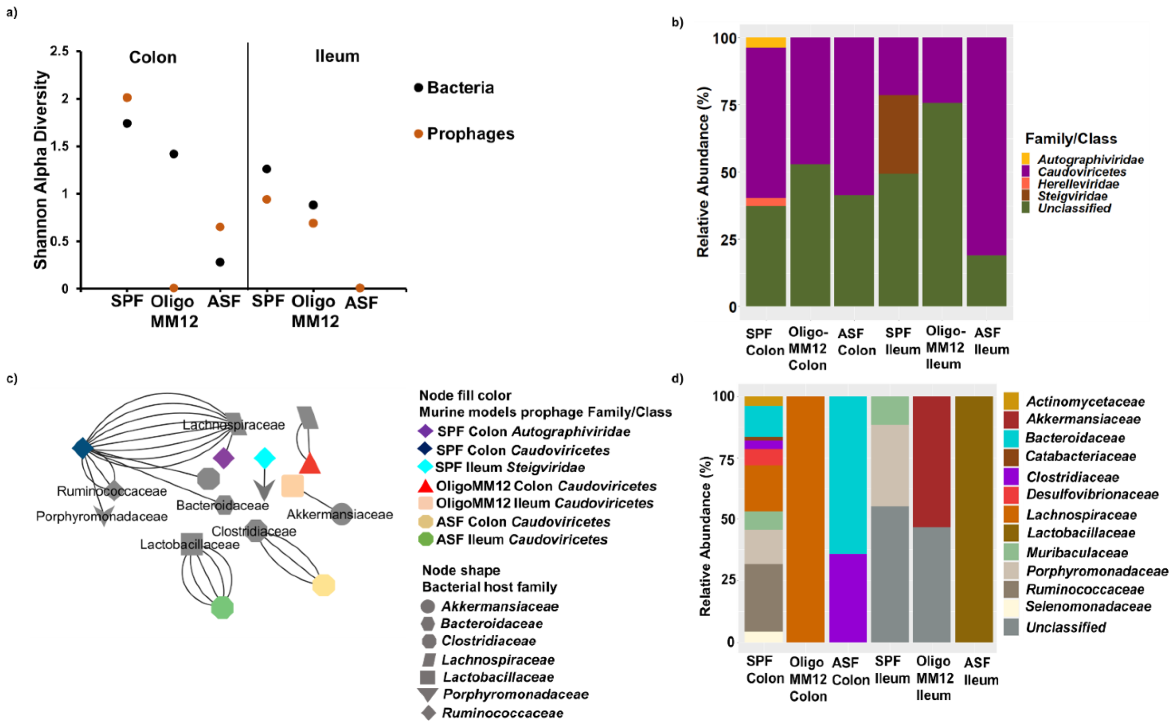 Microorganisms 12 00255 g003