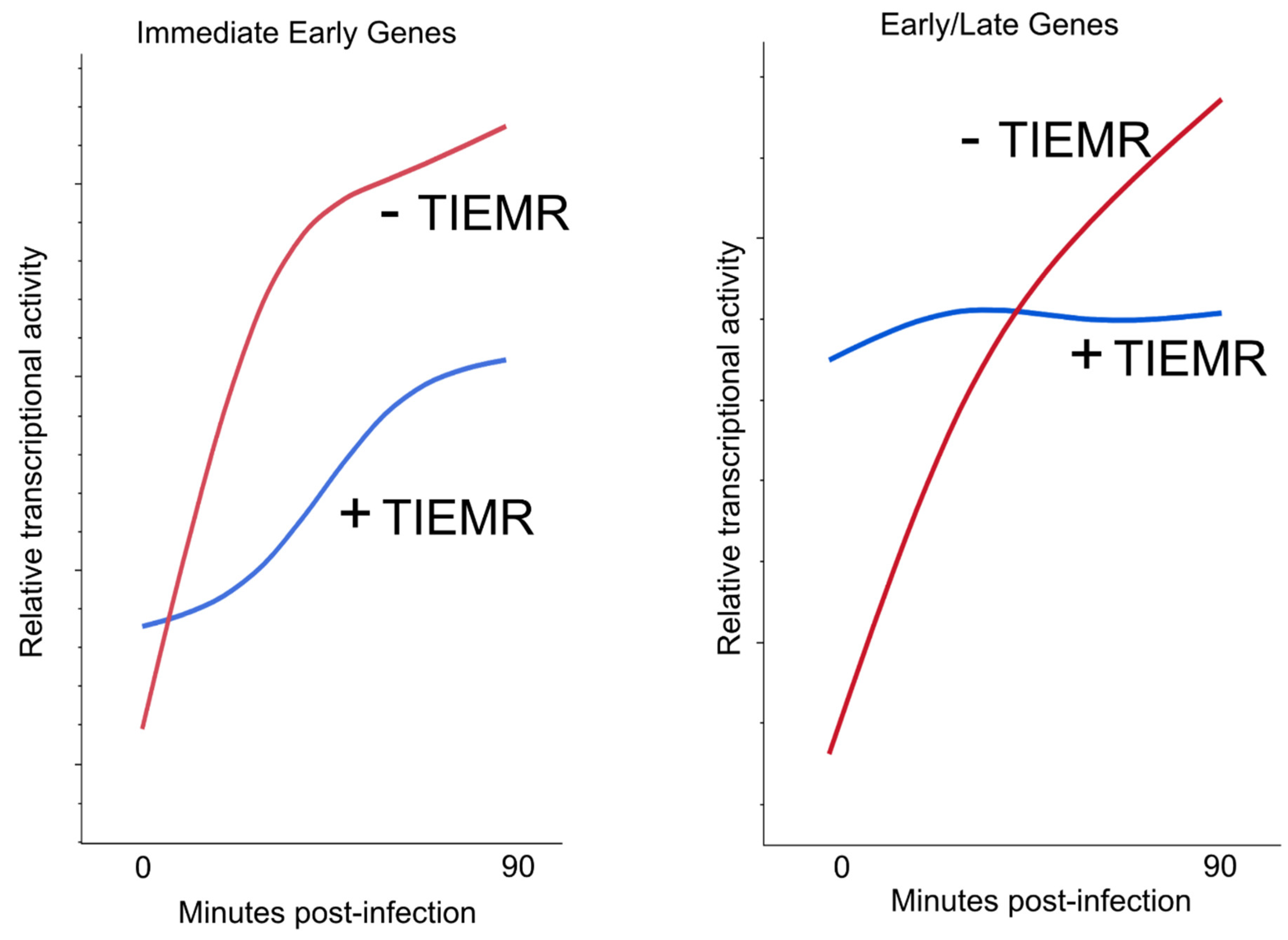 Microorganisms 12 00262 g002 Microorganisms 12 00262 g002
