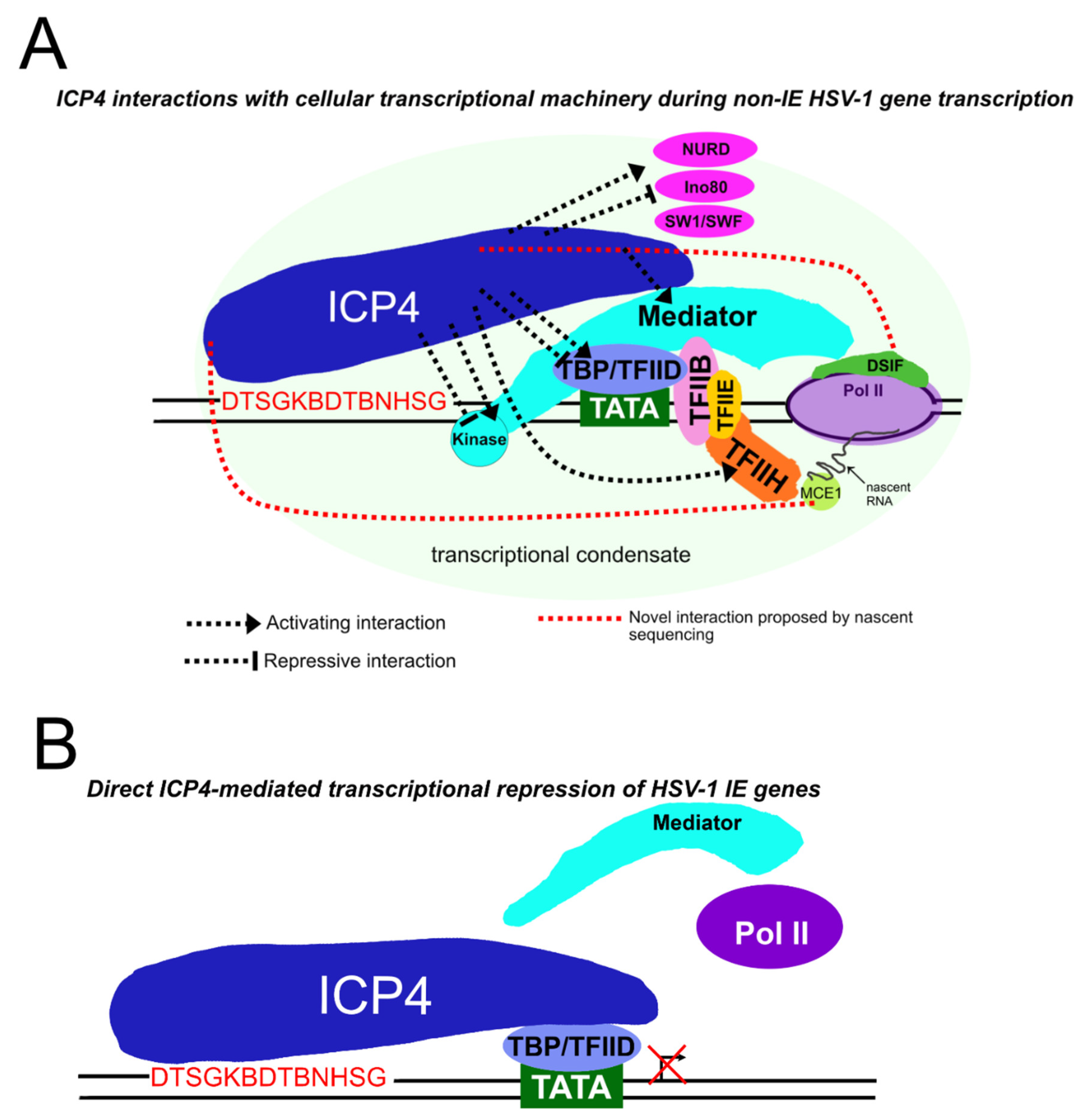 Microorganisms 12 00262 g003 Microorganisms 12 00262 g003