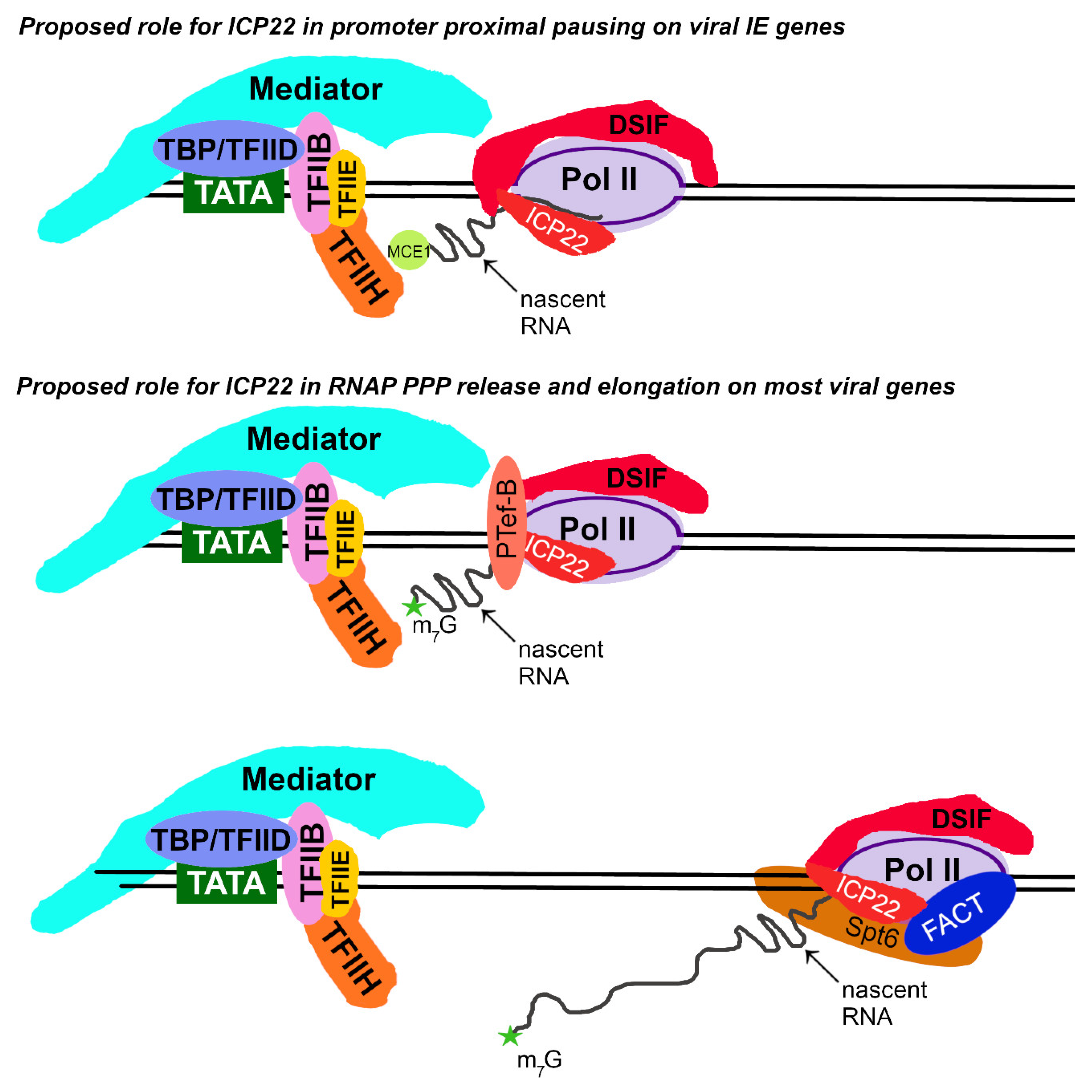 Microorganisms 12 00262 g004 Microorganisms 12 00262 g004