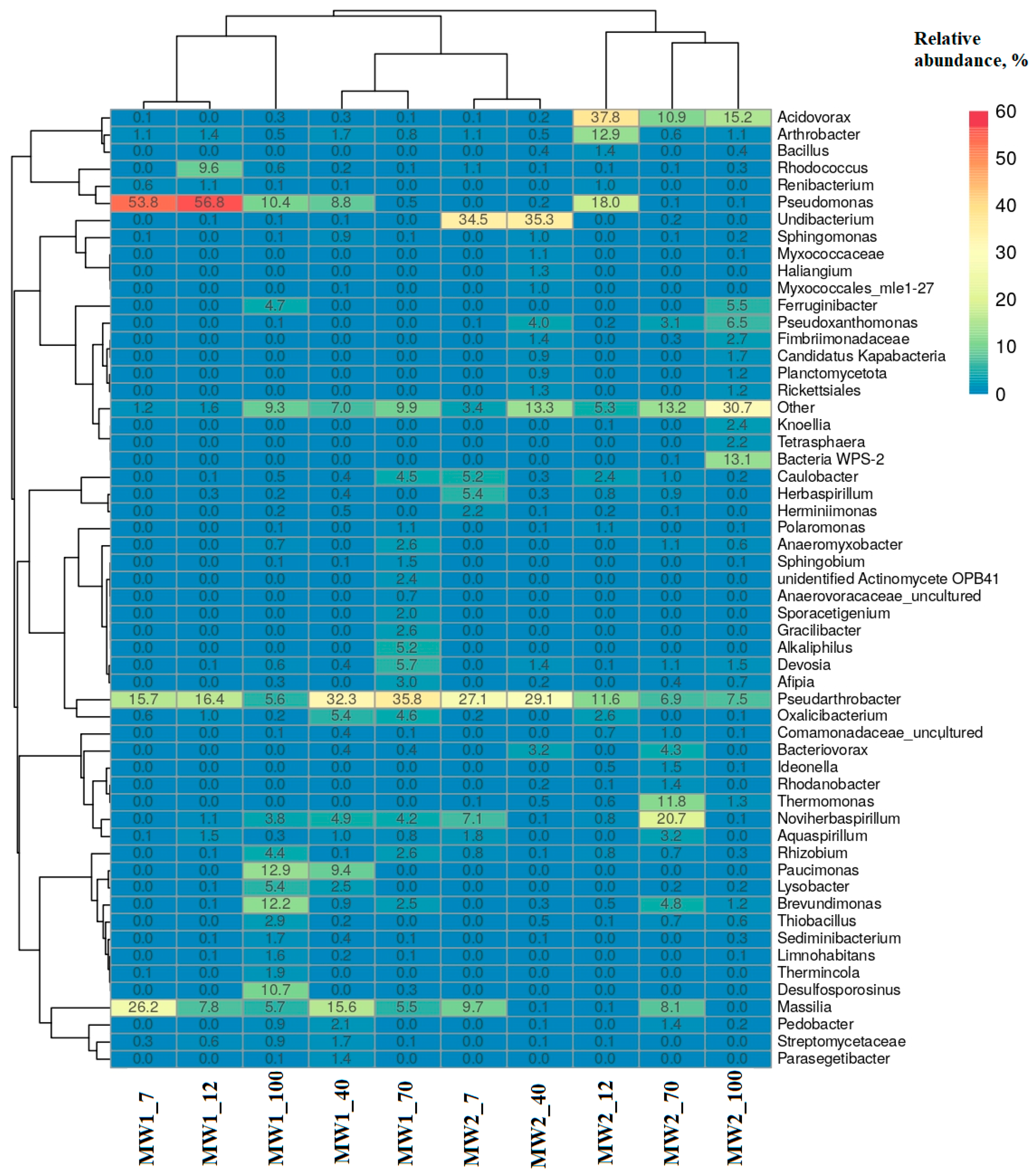 Microorganisms 12 00275 g007