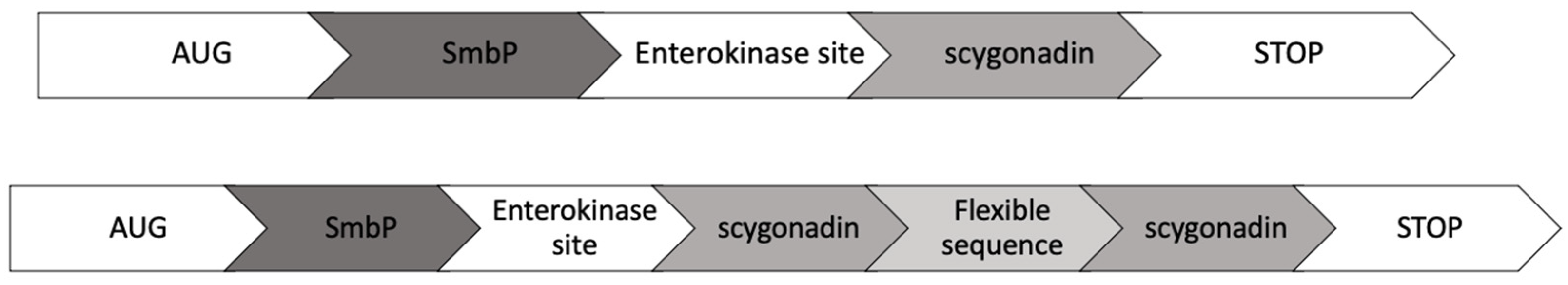 Microorganisms 12 00278 g001