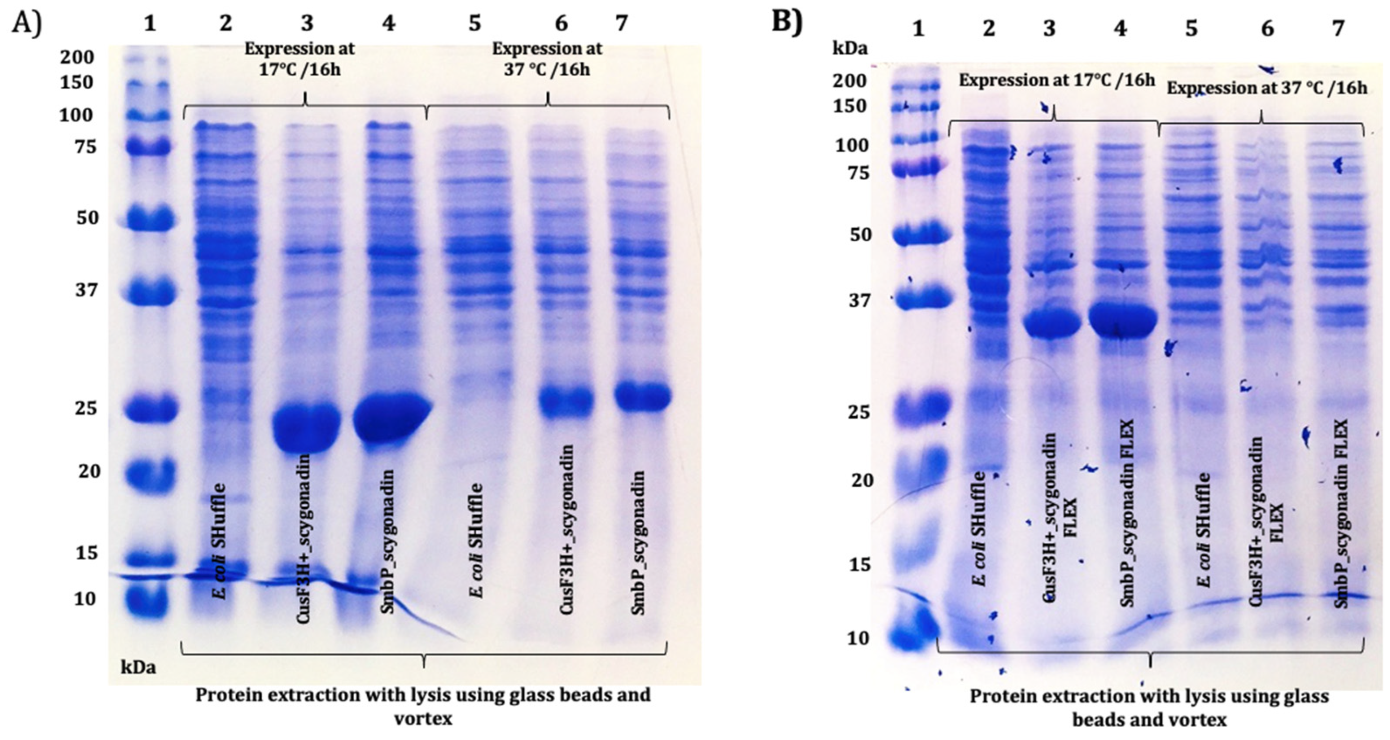 Microorganisms 12 00278 g003