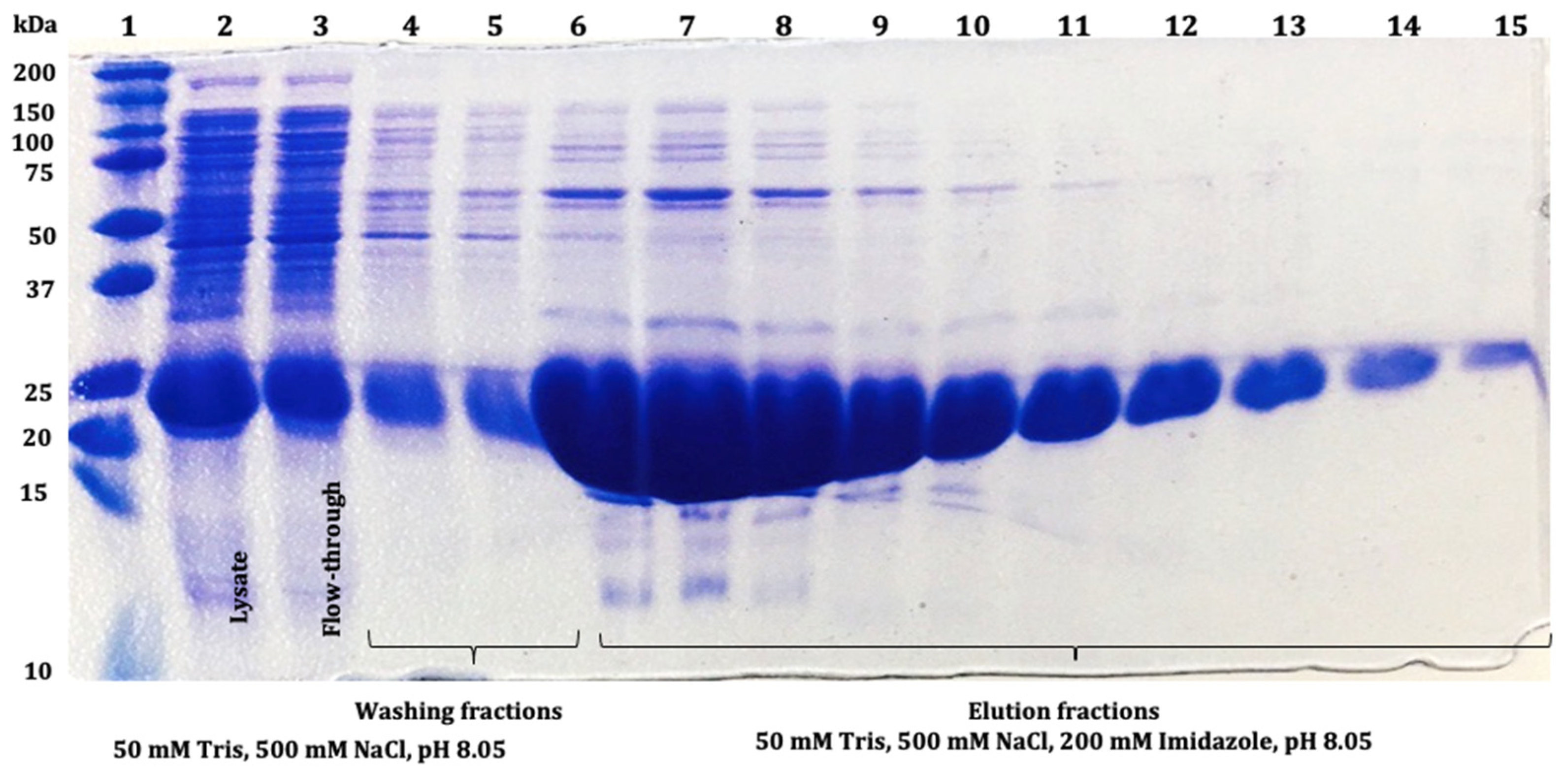 Microorganisms 12 00278 g005