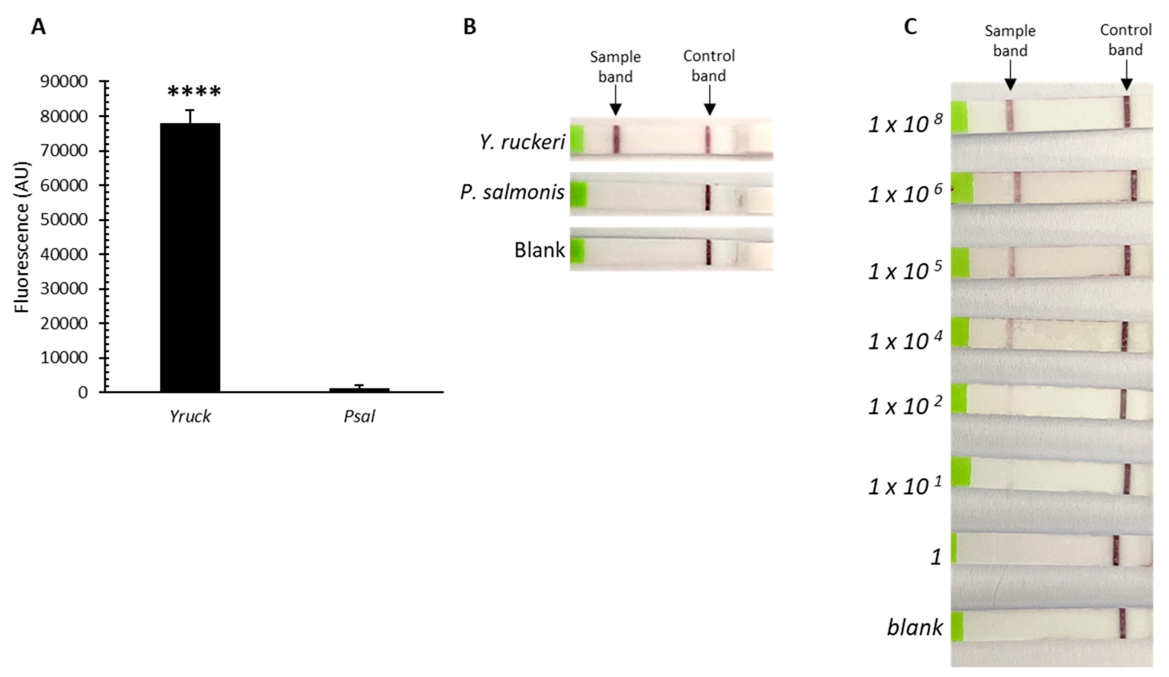 Microorganisms 12 00283 g002 Microorganisms 12 00283 g002