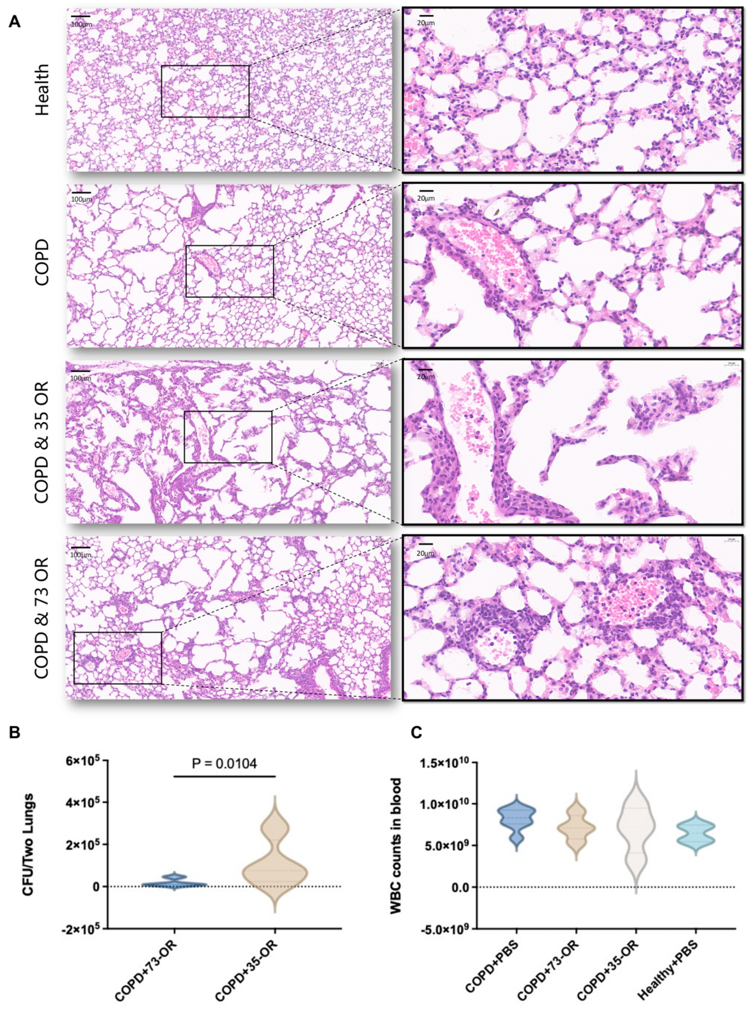Microorganisms 12 00291 g001