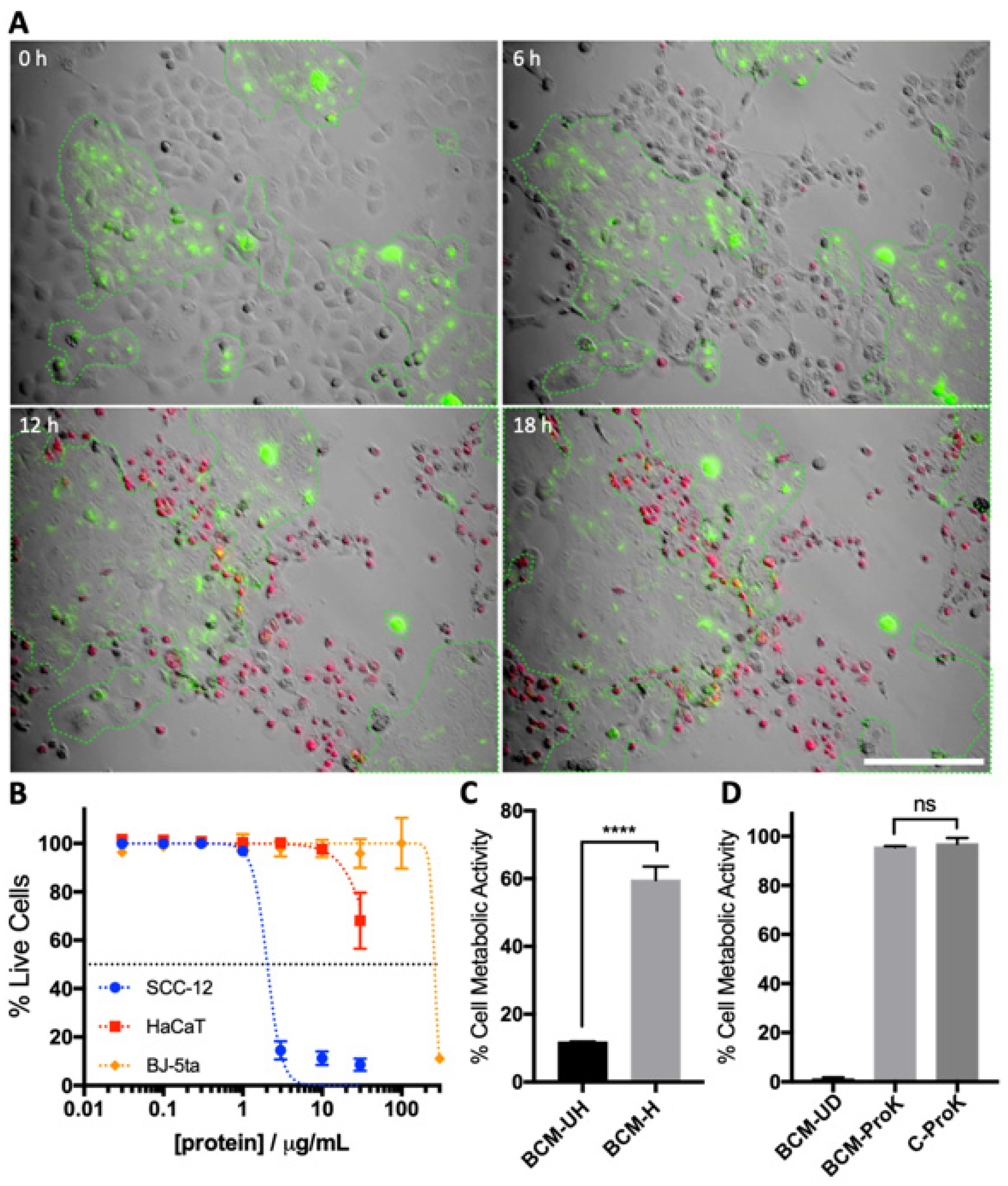 Microorganisms 12 00293 g002