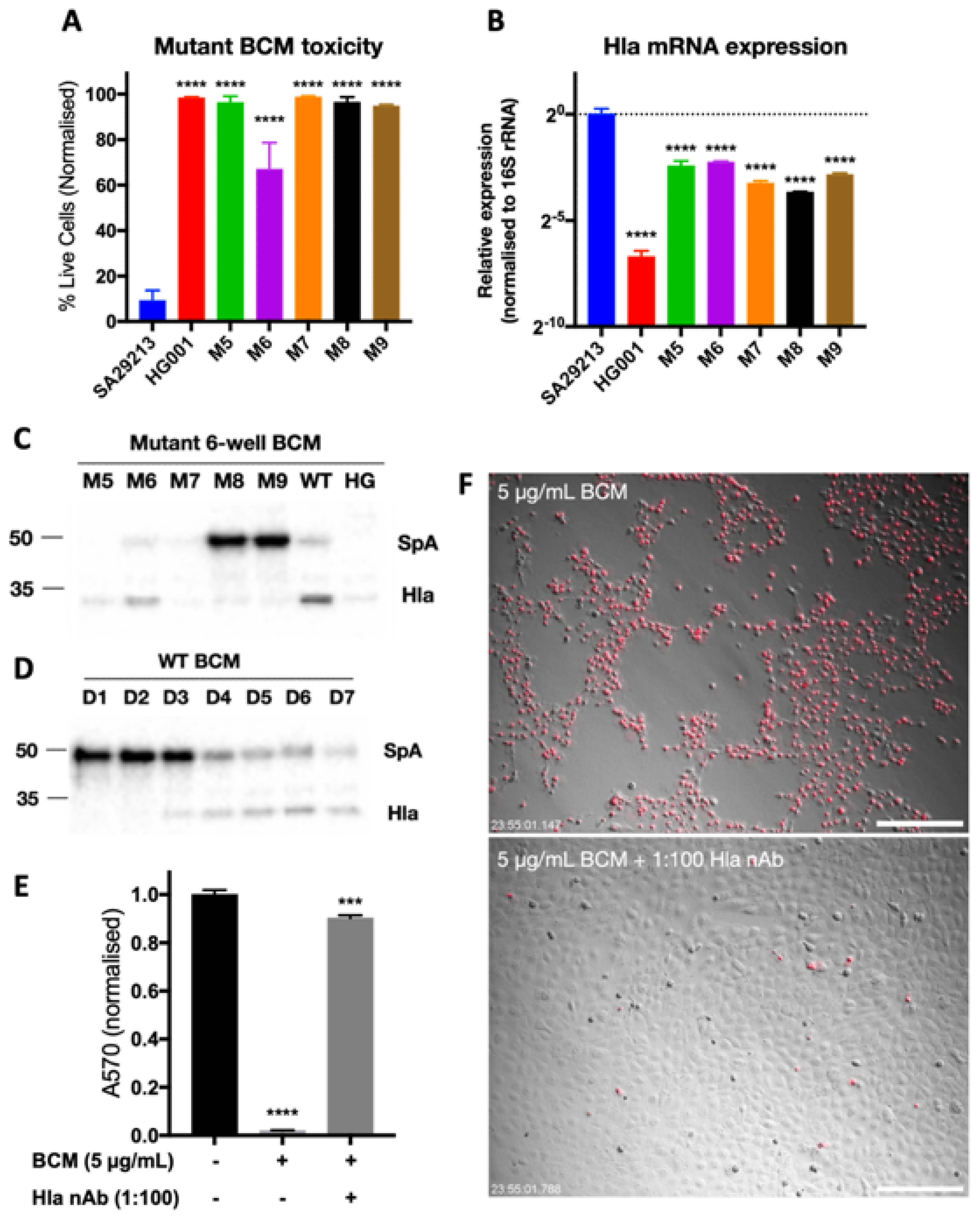 Microorganisms 12 00293 g005