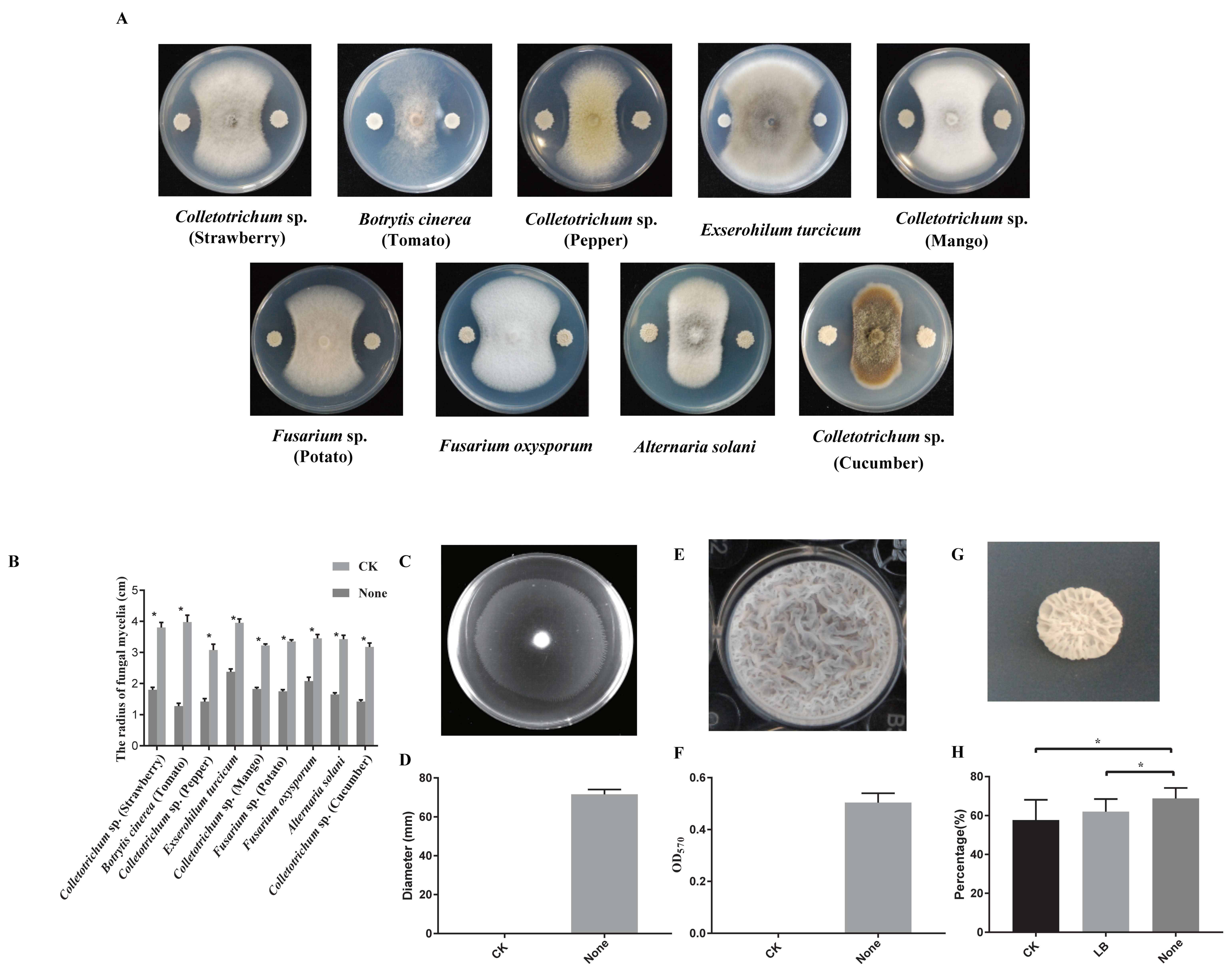 Microorganisms 12 00294 g001