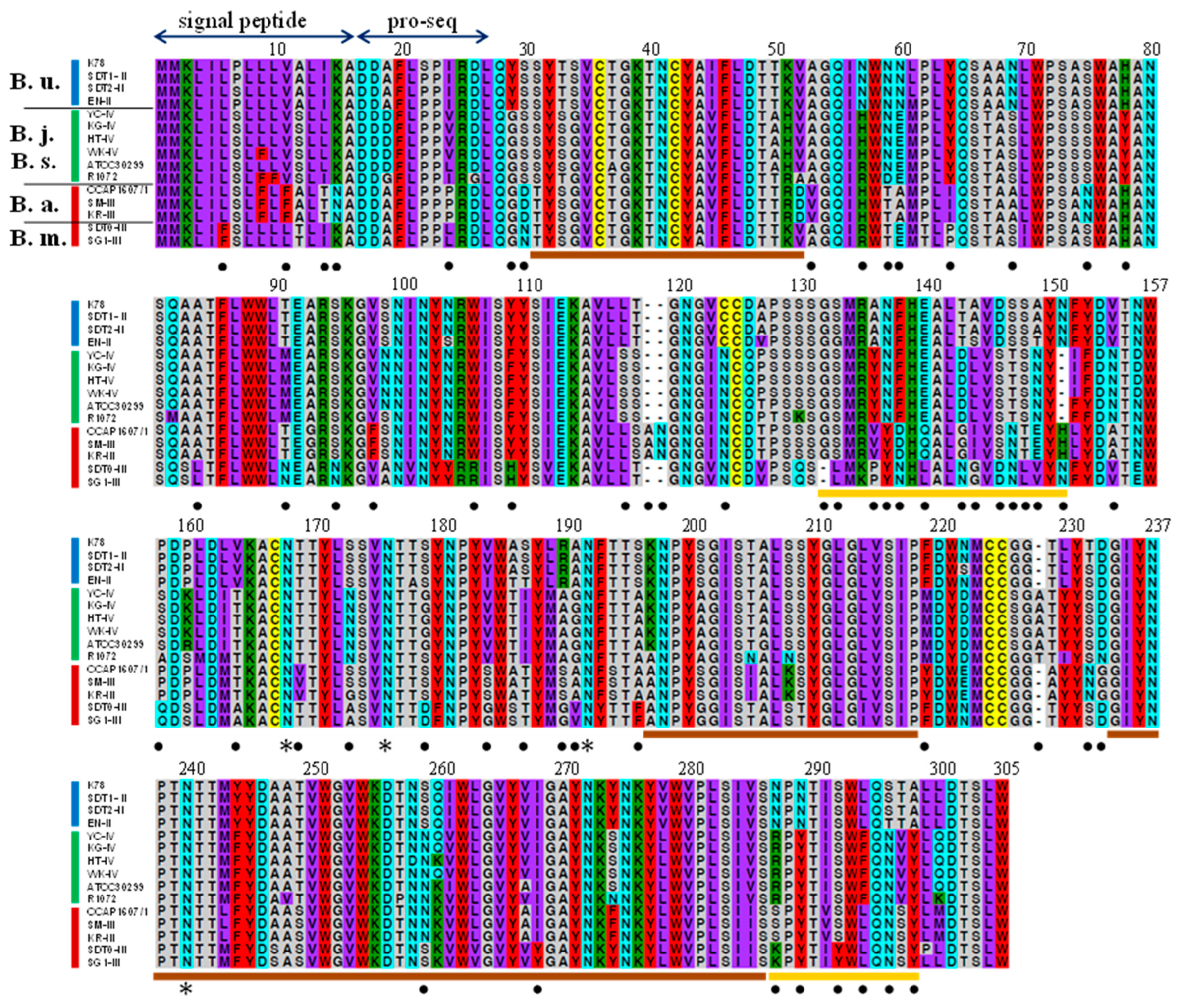 Microorganisms 12 00299 g004