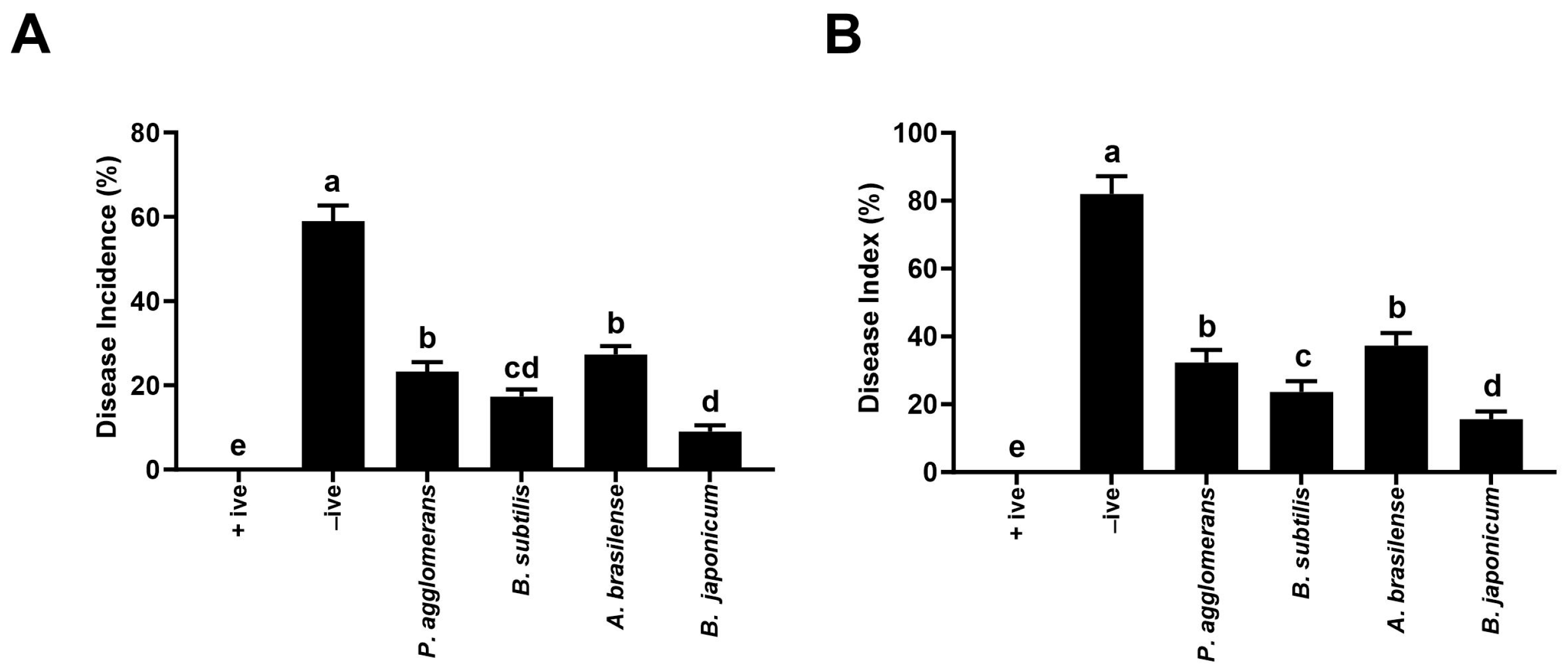 Microorganisms 12 00304 g001