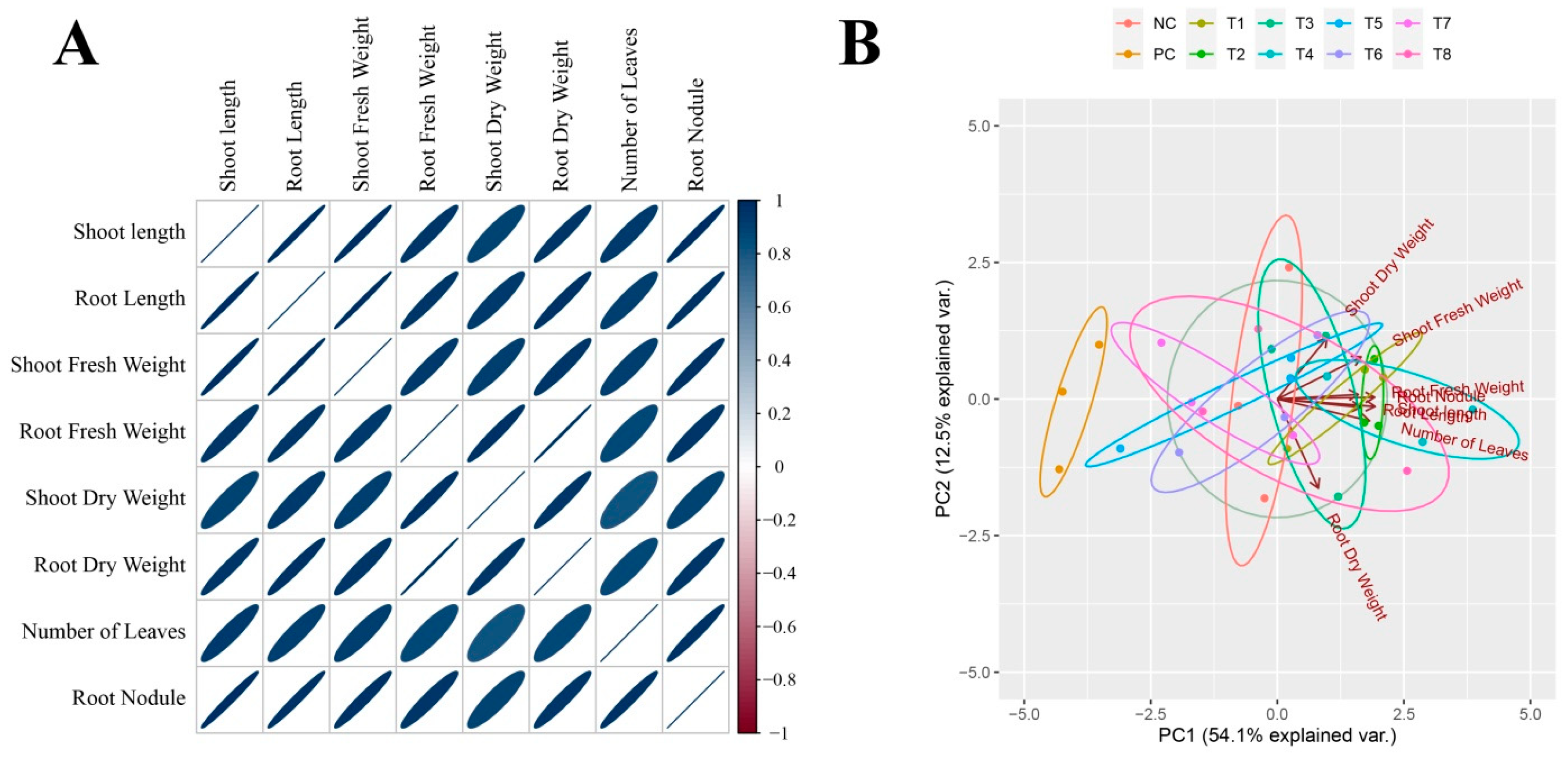 Microorganisms 12 00304 g002