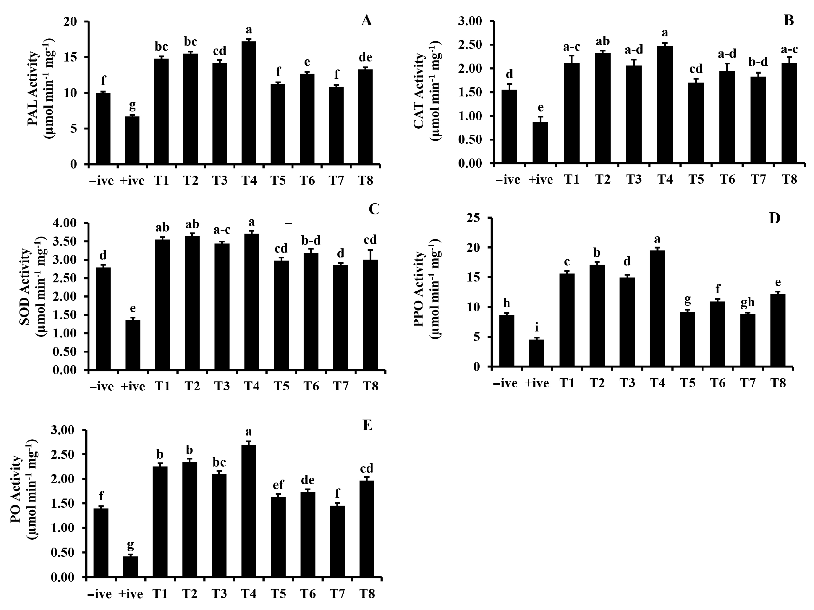 Microorganisms 12 00304 g003