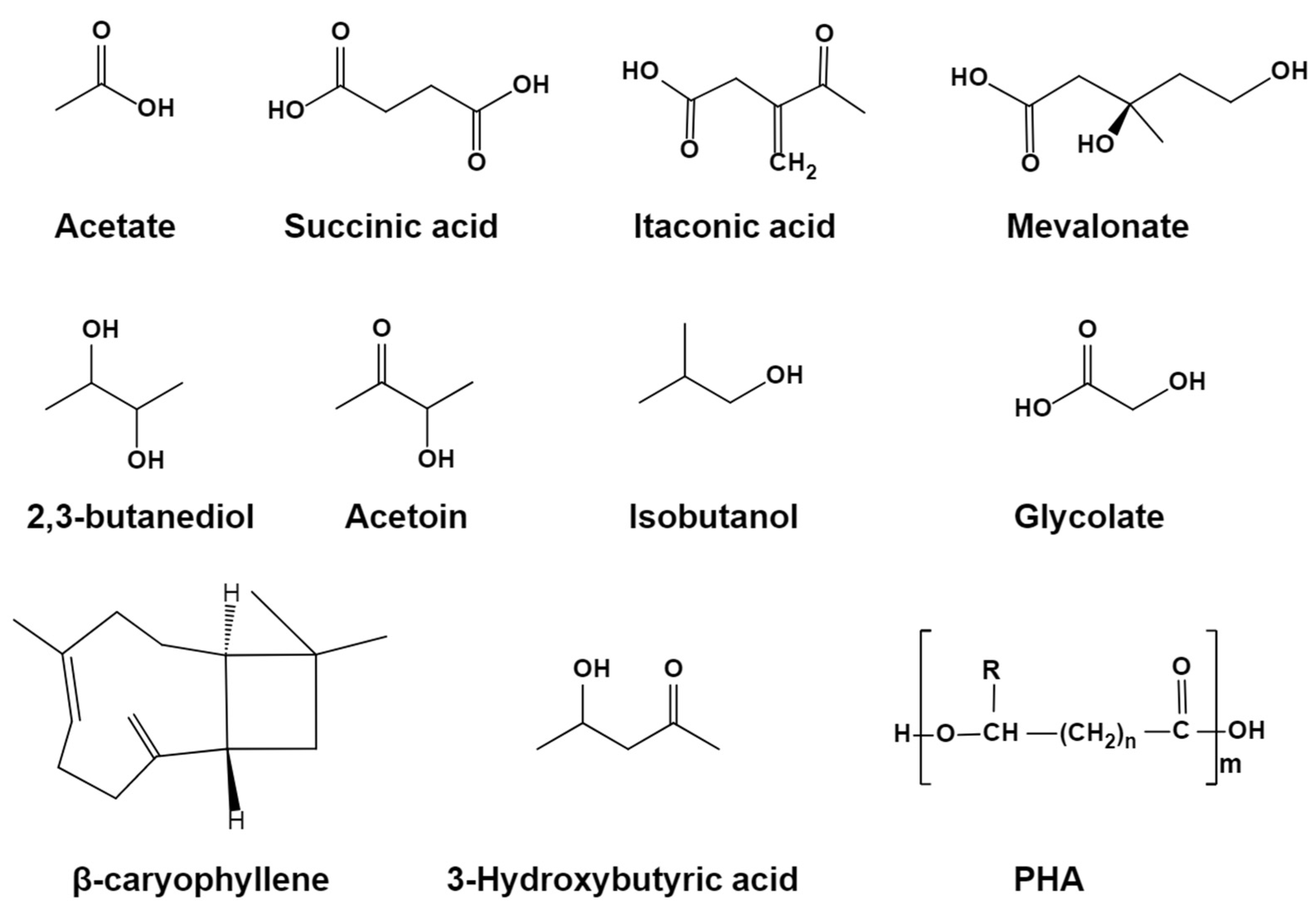 Microorganisms 12 00309 g002