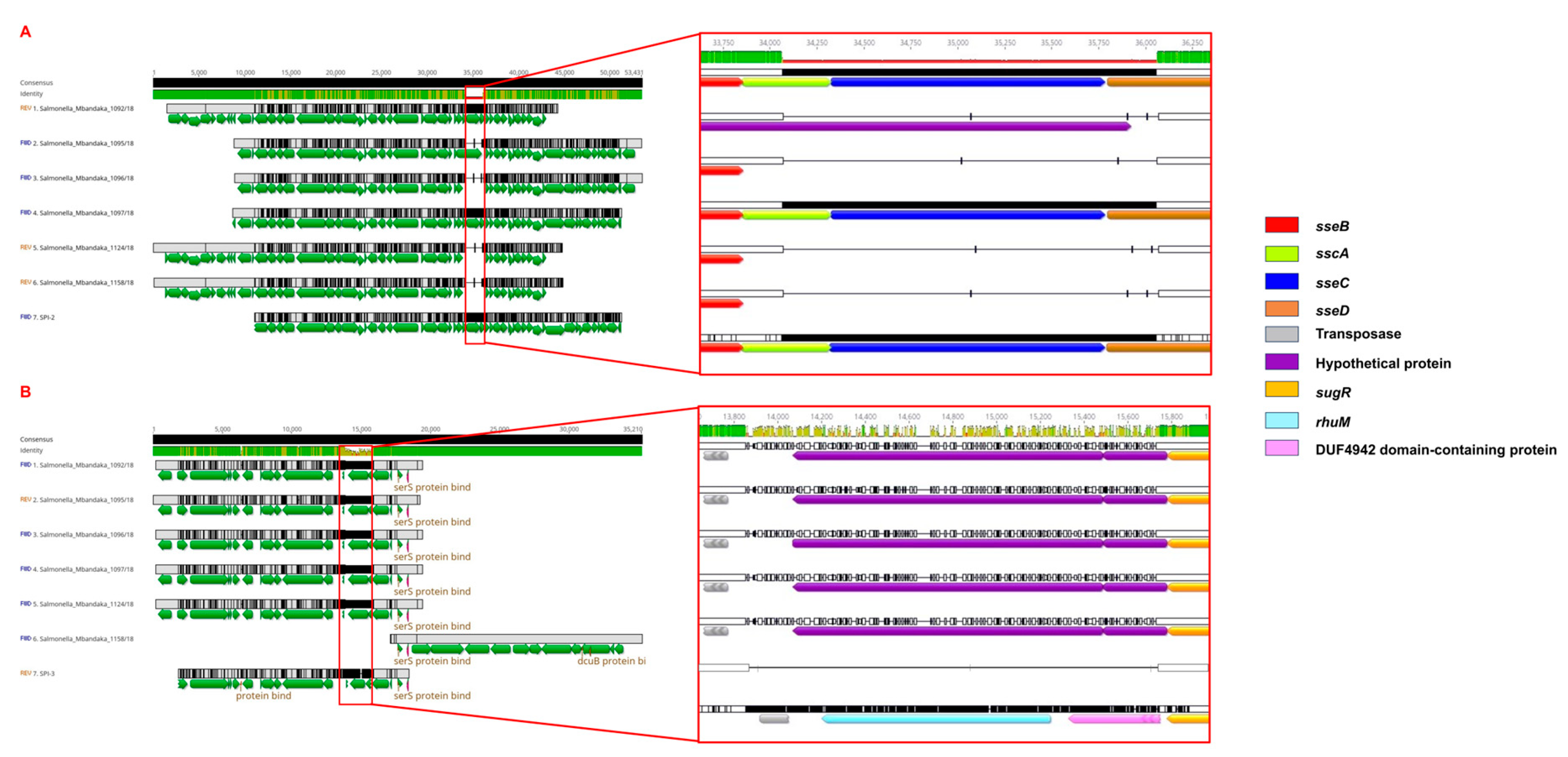 Microorganisms 12 00312 g004