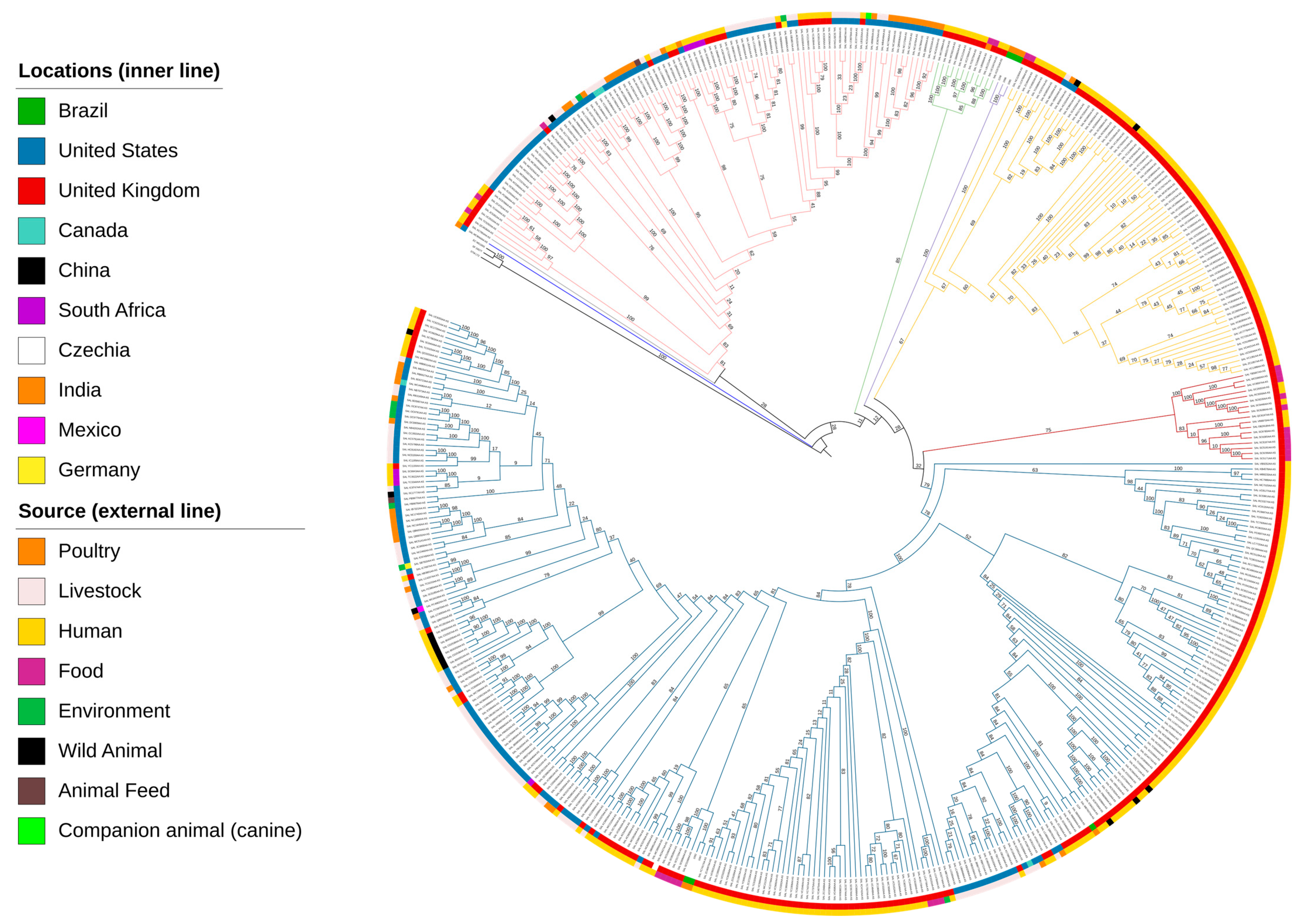 Microorganisms 12 00312 g005