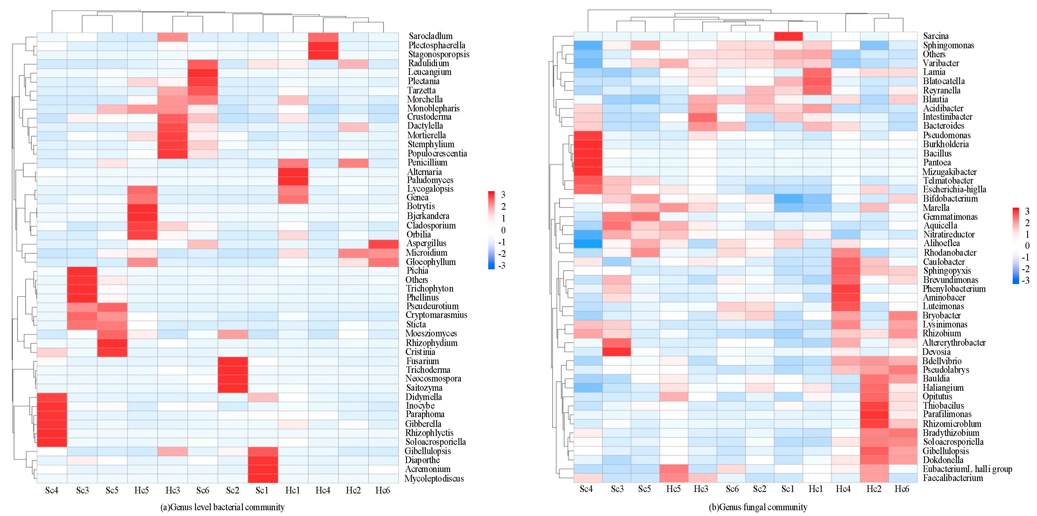 Microorganisms 12 00337 g003