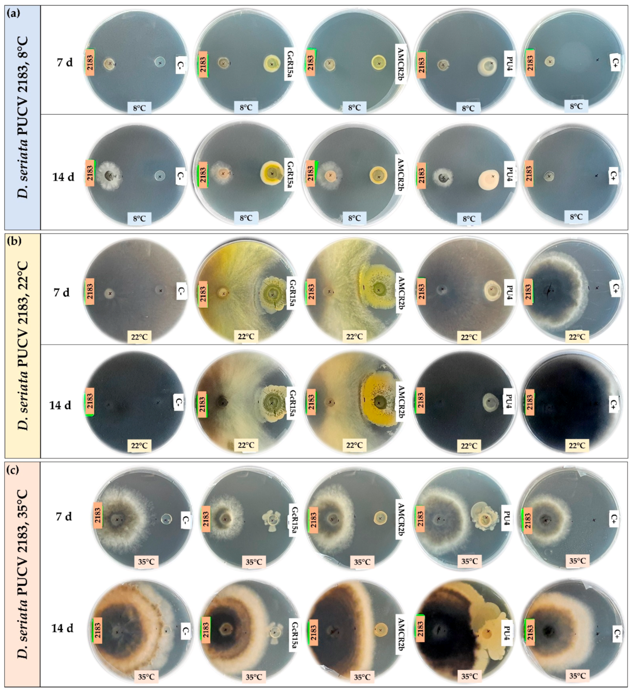 Microorganisms 12 00350 g003 Microorganisms 12 00350 g003