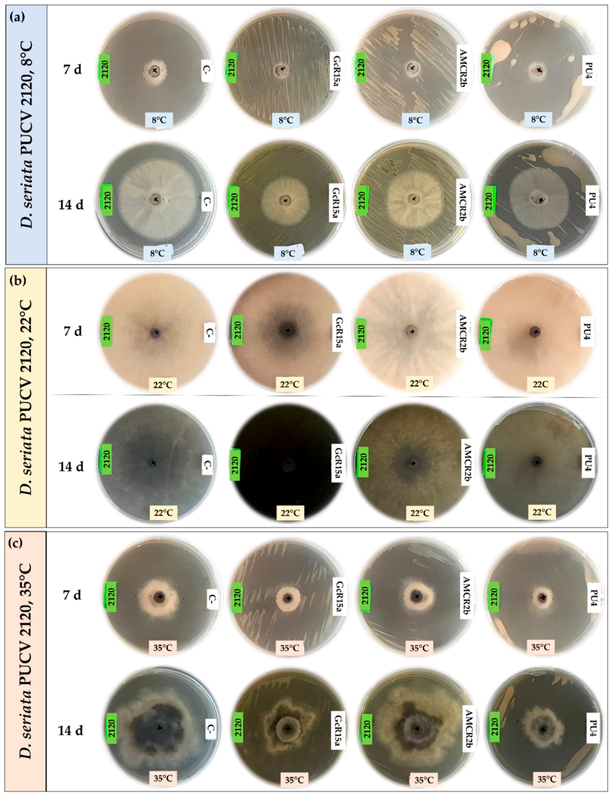 Microorganisms 12 00350 g005 Microorganisms 12 00350 g005