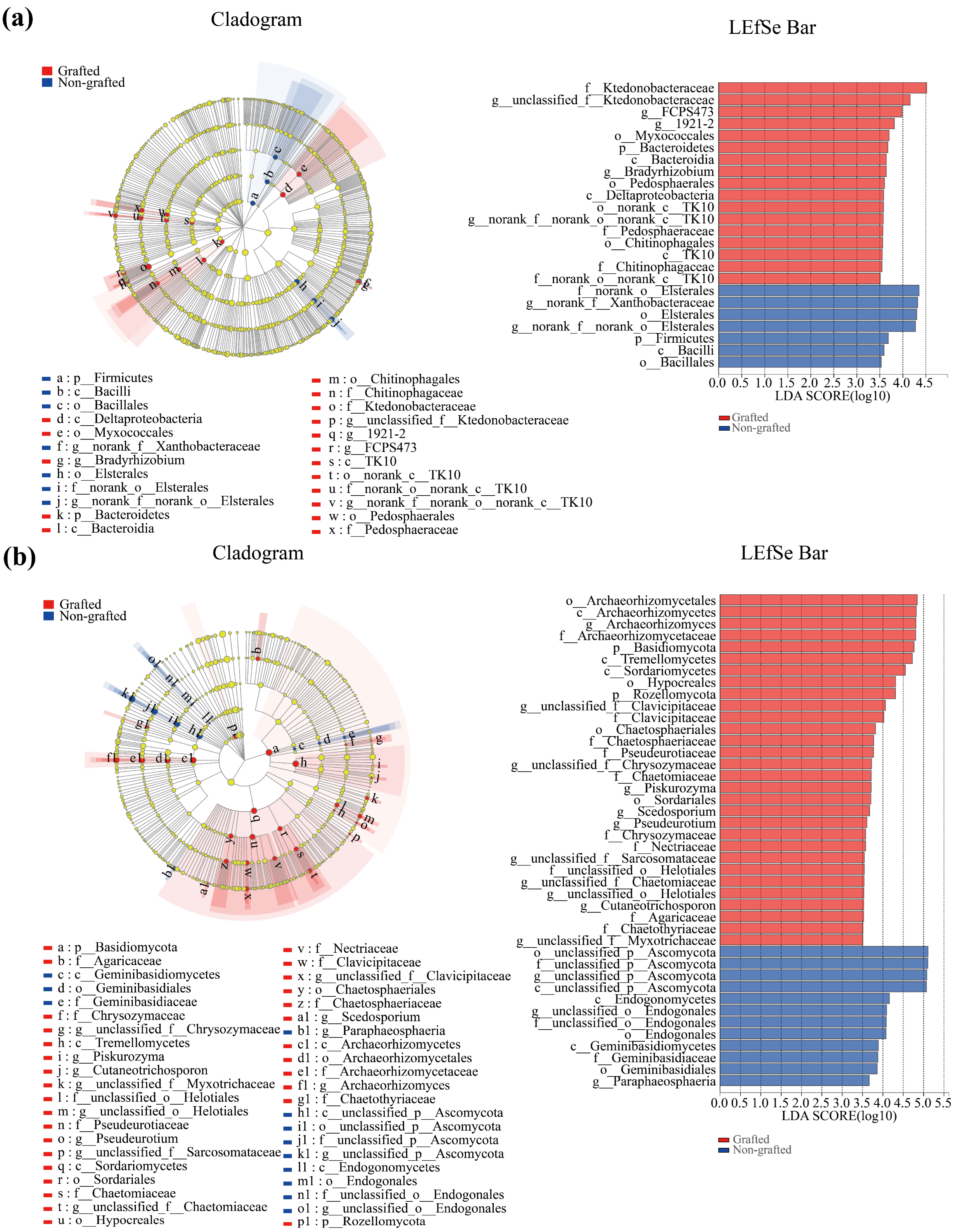 Microorganisms 12 00431 g004