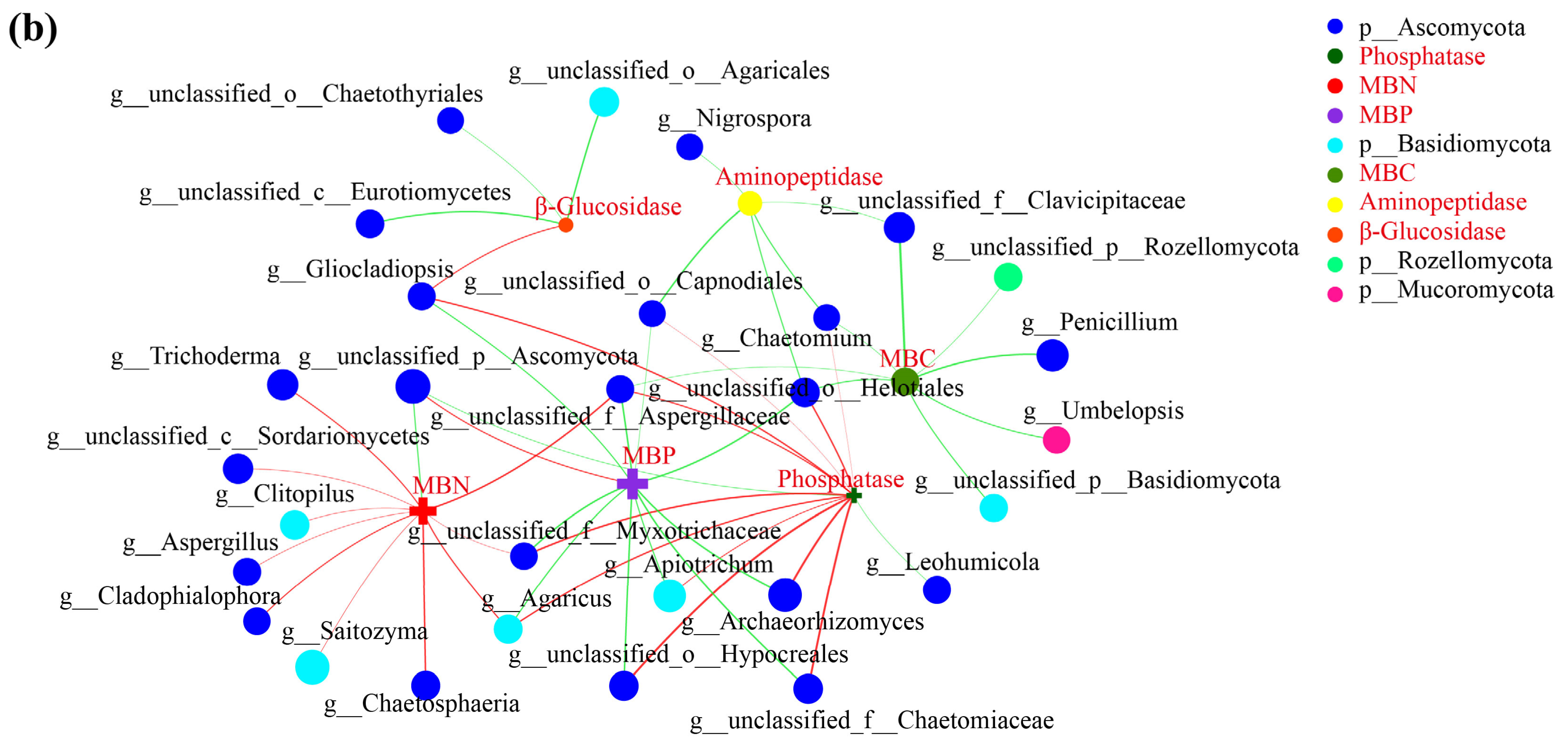 Microorganisms 12 00431 g006b