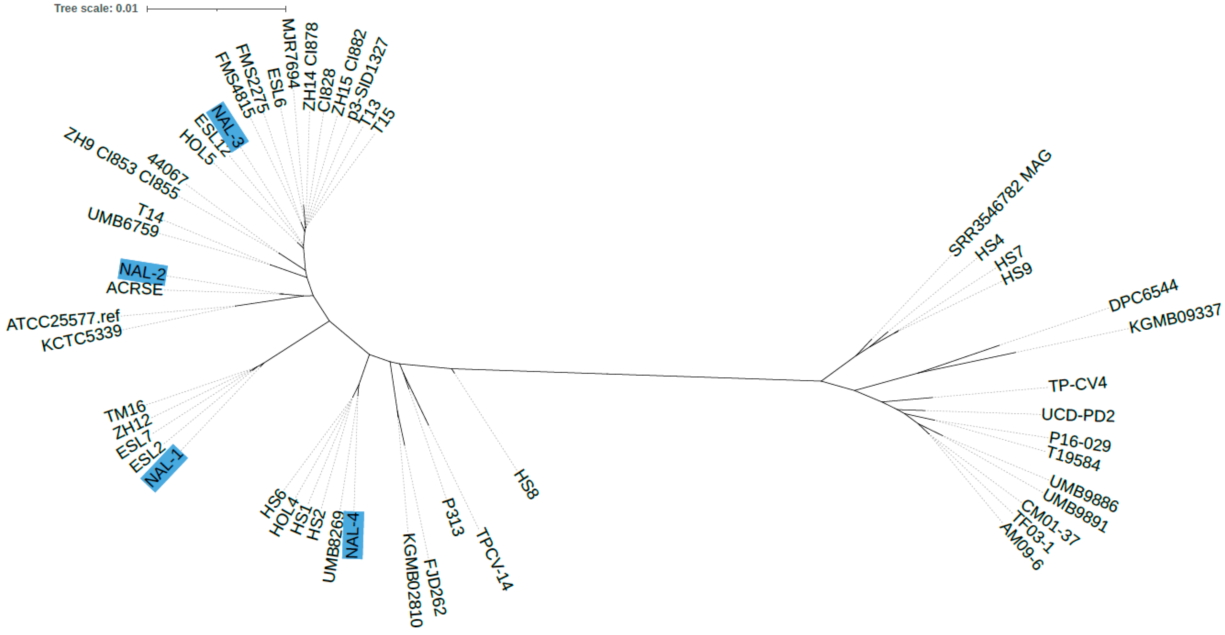 Microorganisms 12 00432 g001