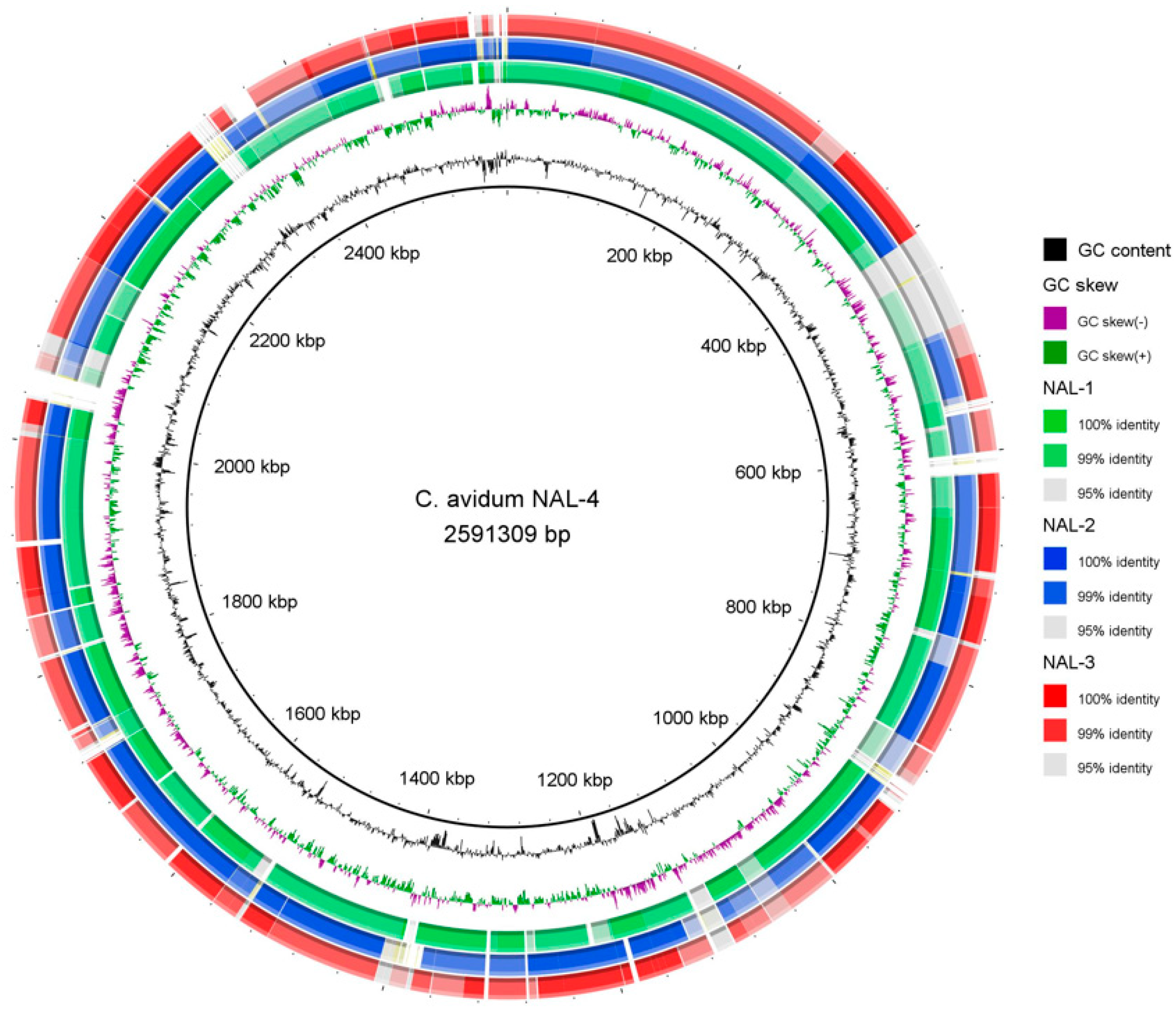 Microorganisms 12 00432 g002