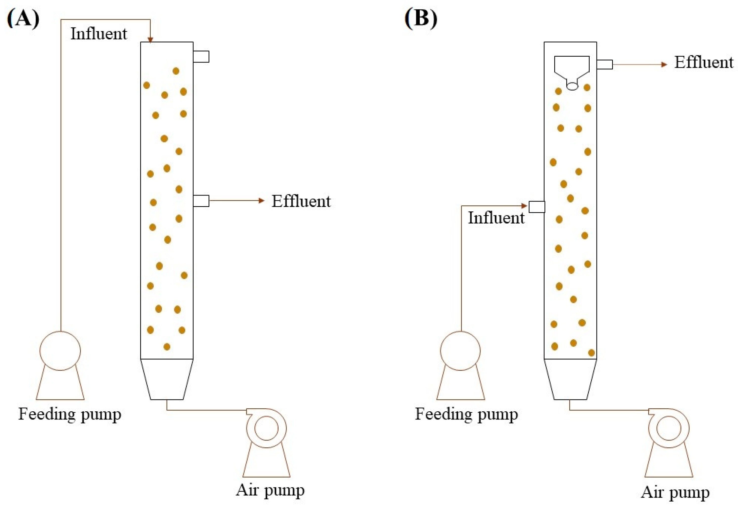 Microorganisms 12 00433 g002