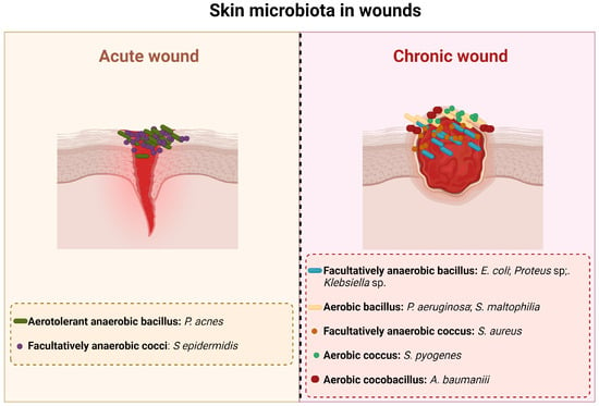 Microorganisms, Free Full-Text