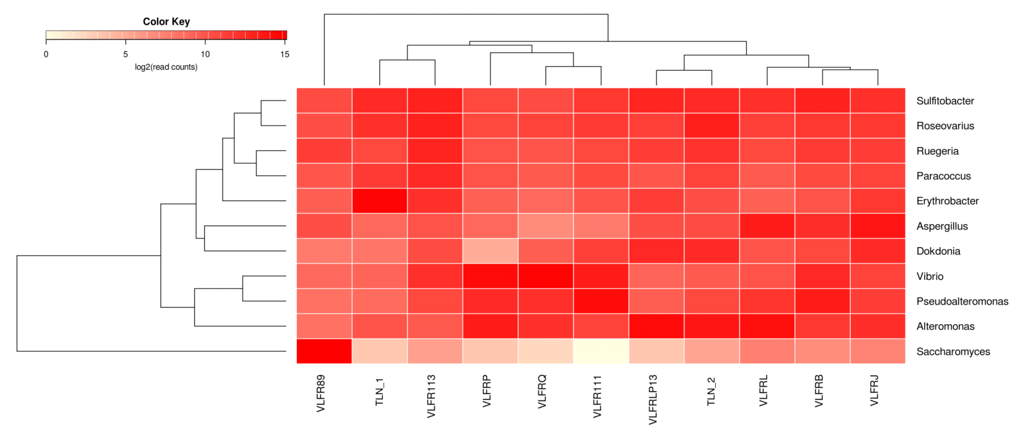 Microorganisms 12 00444 g003