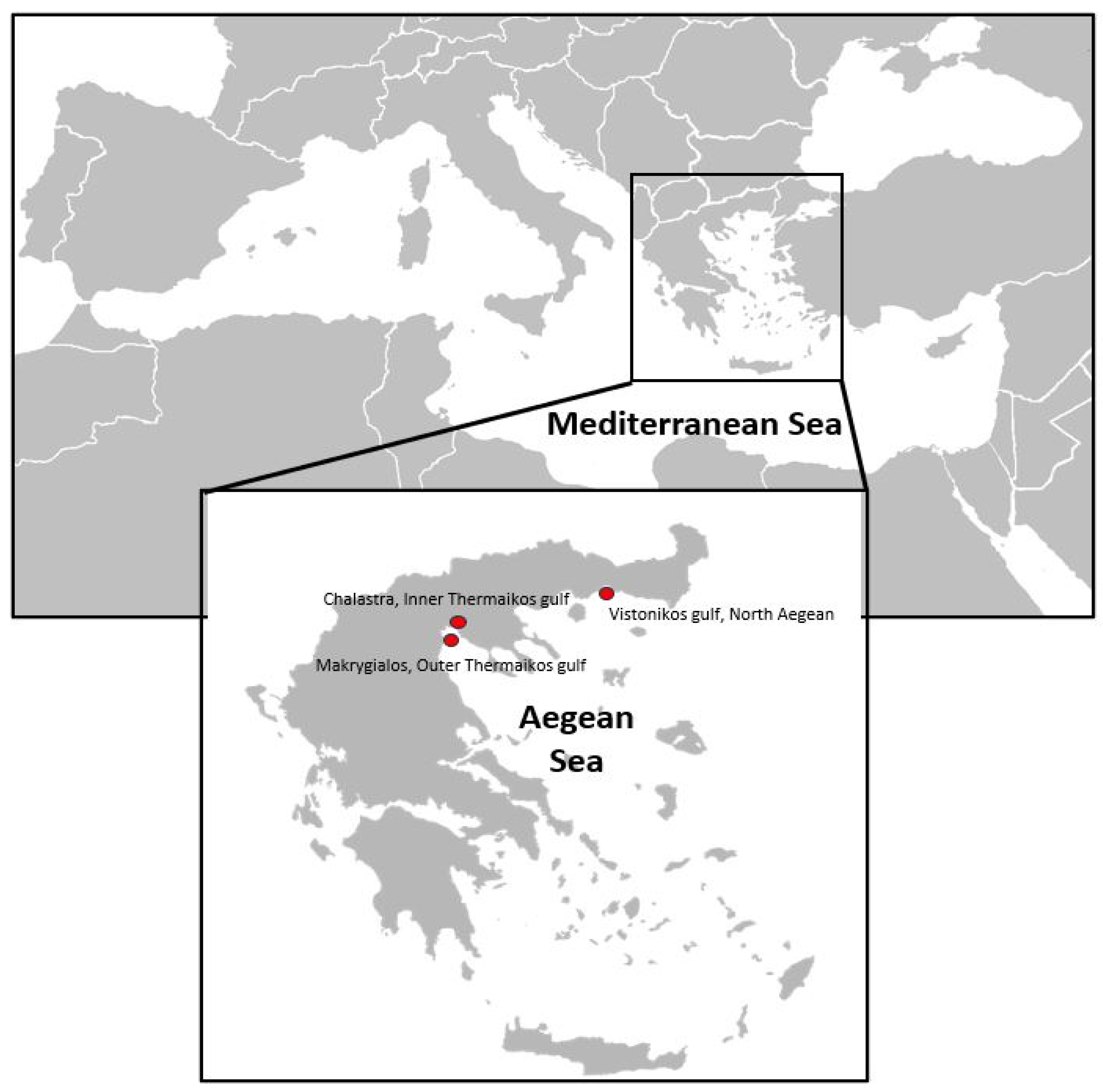Microorganisms 12 00456 g001
