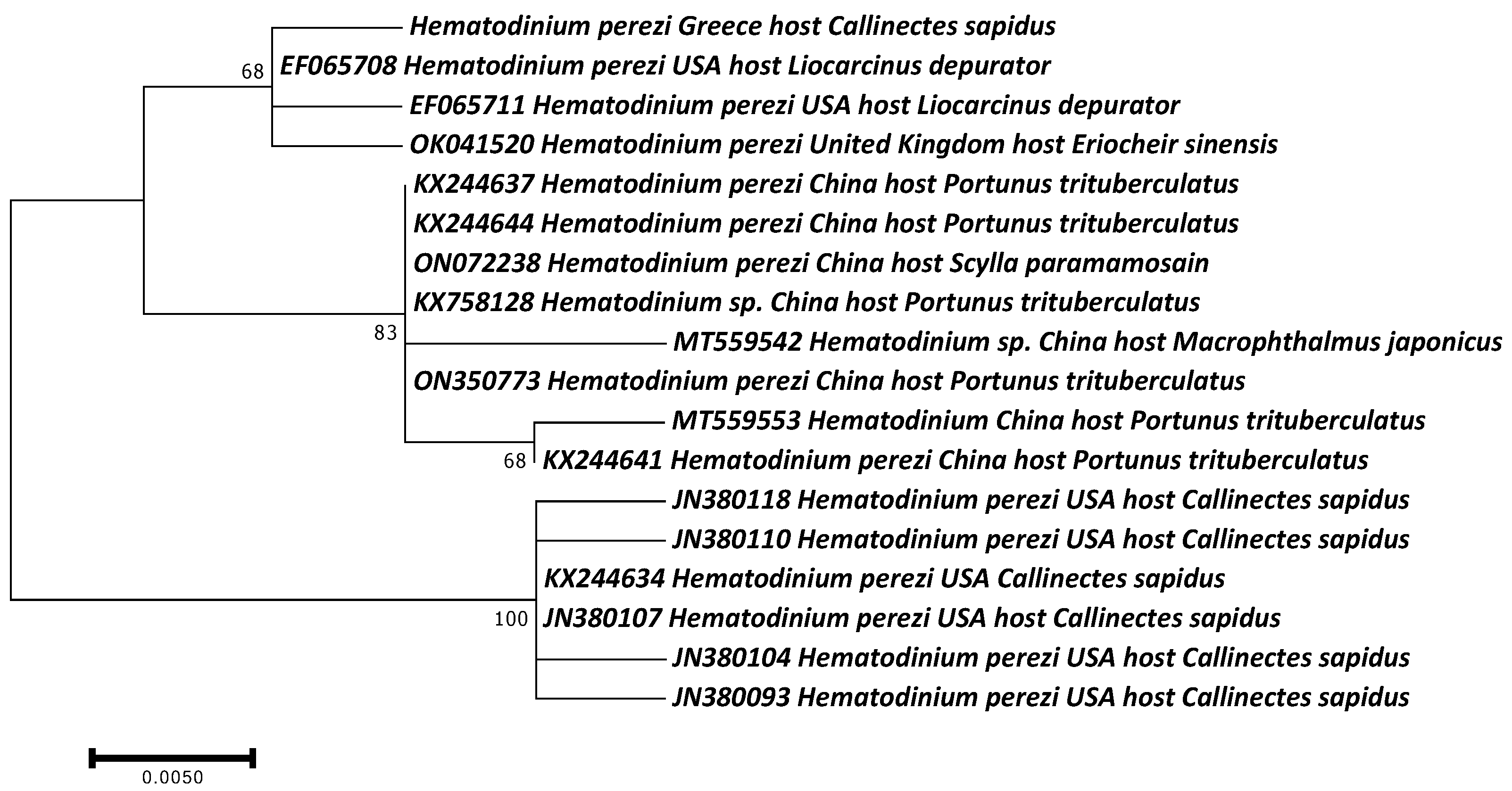 Microorganisms 12 00456 g006