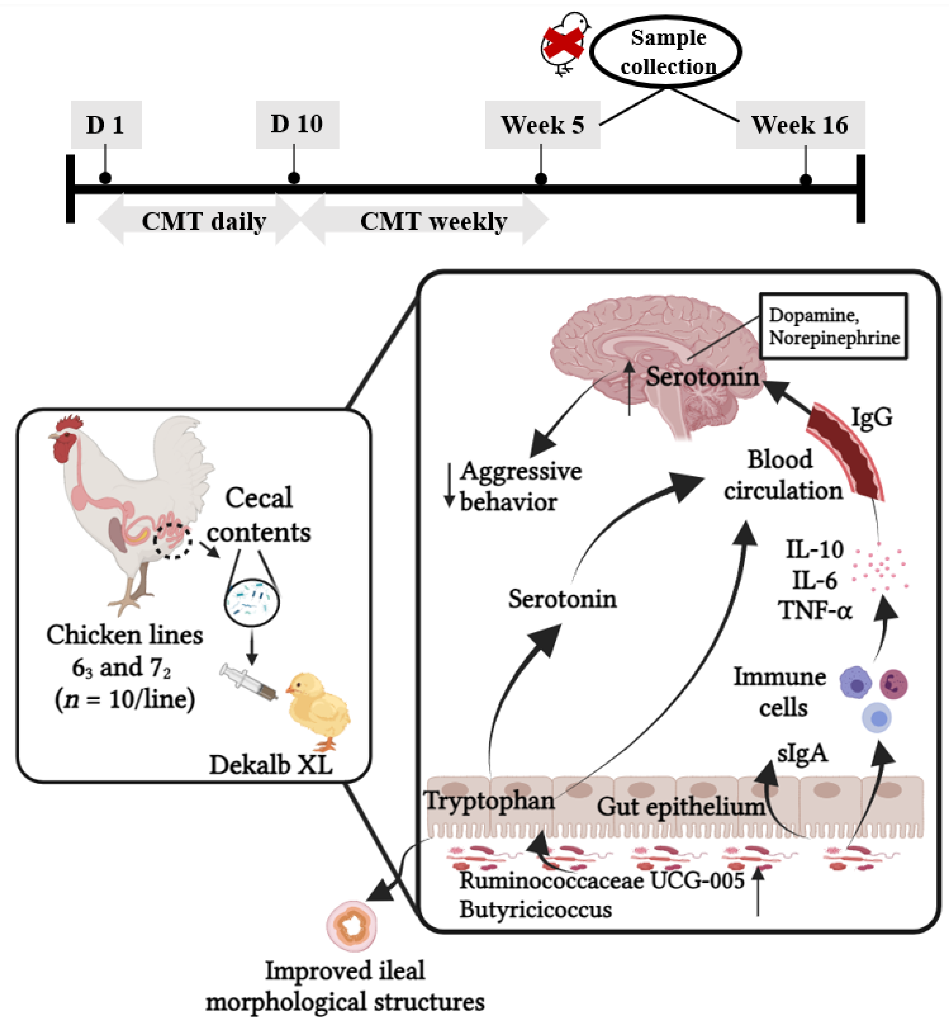 Microorganisms 12 00471 g002