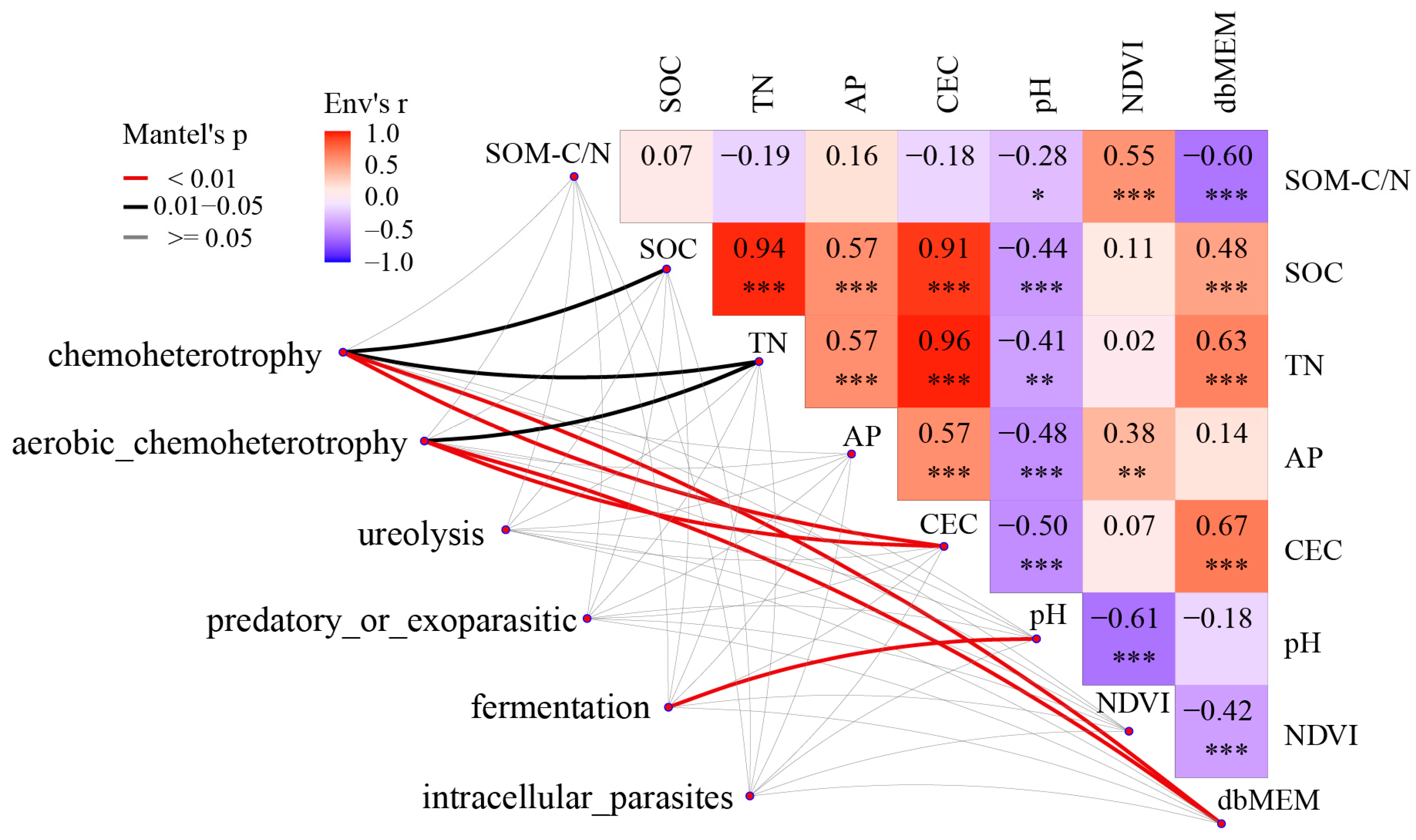 Microorganisms 12 00479 g005