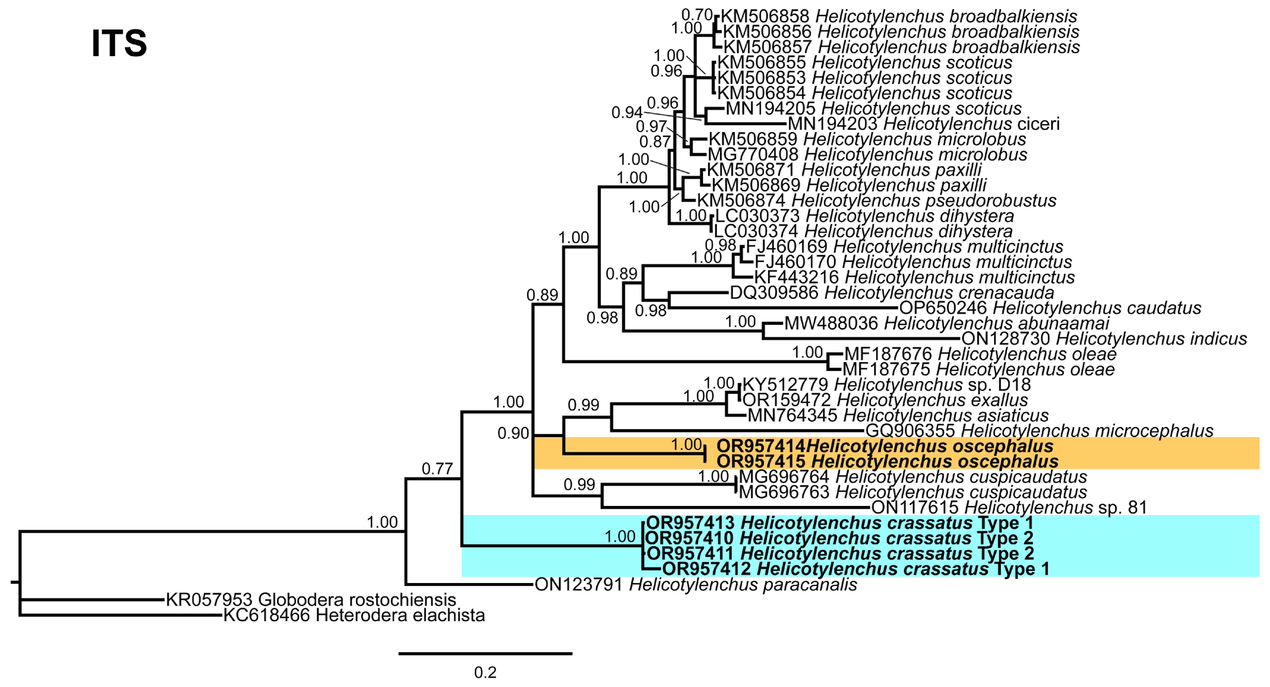 Microorganisms 12 00497 g012