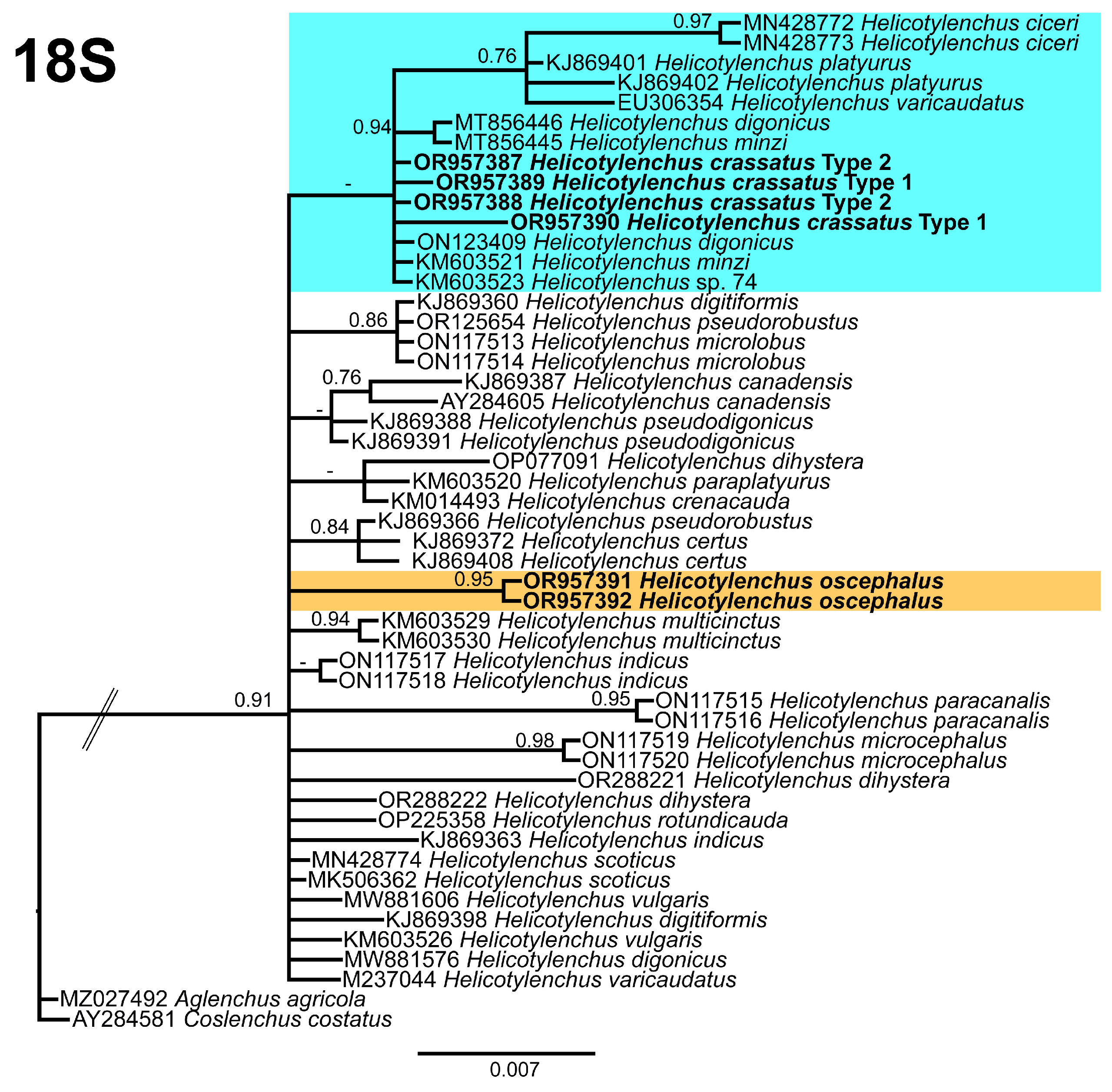 Microorganisms 12 00497 g013