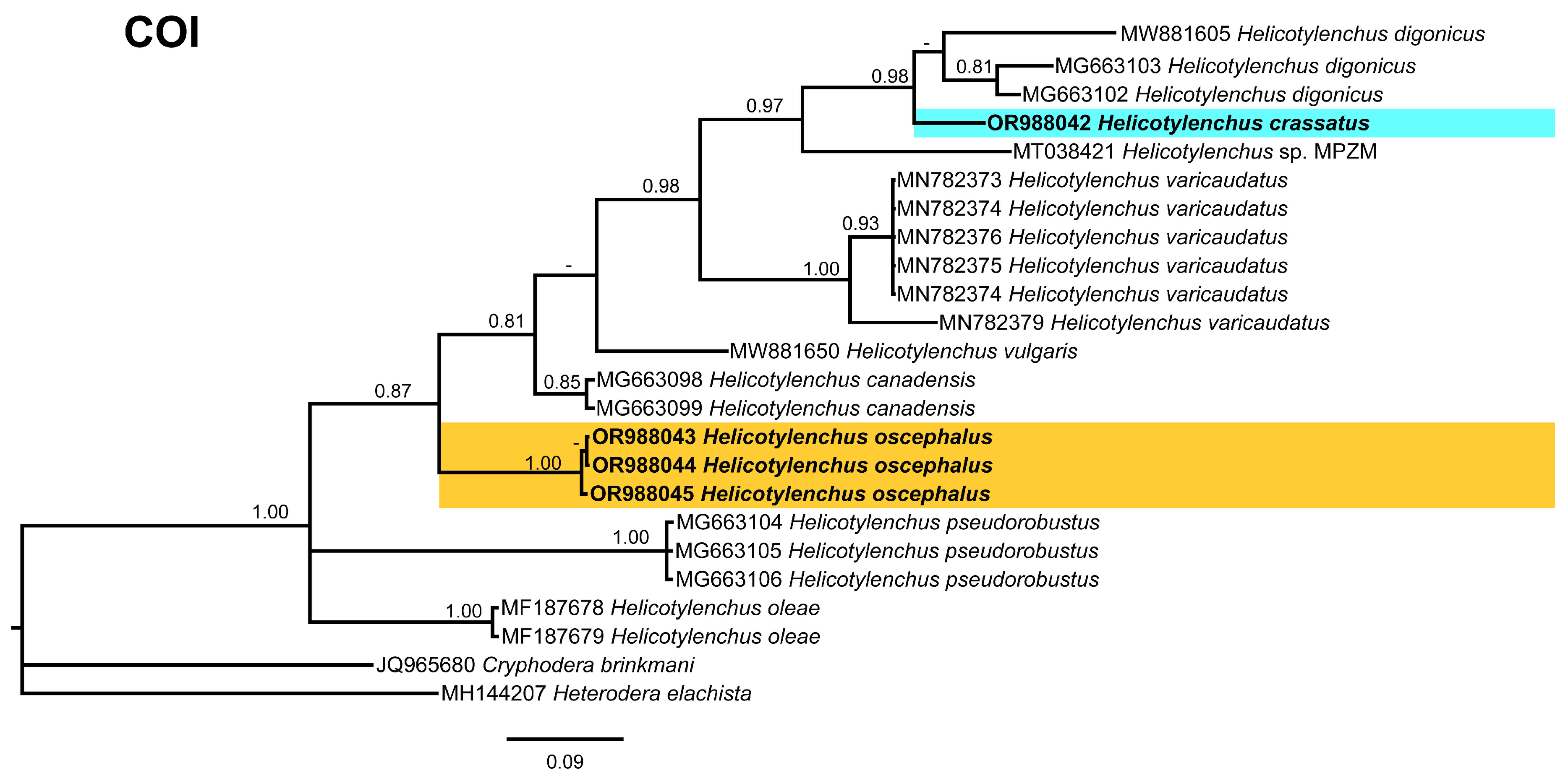 Microorganisms 12 00497 g014