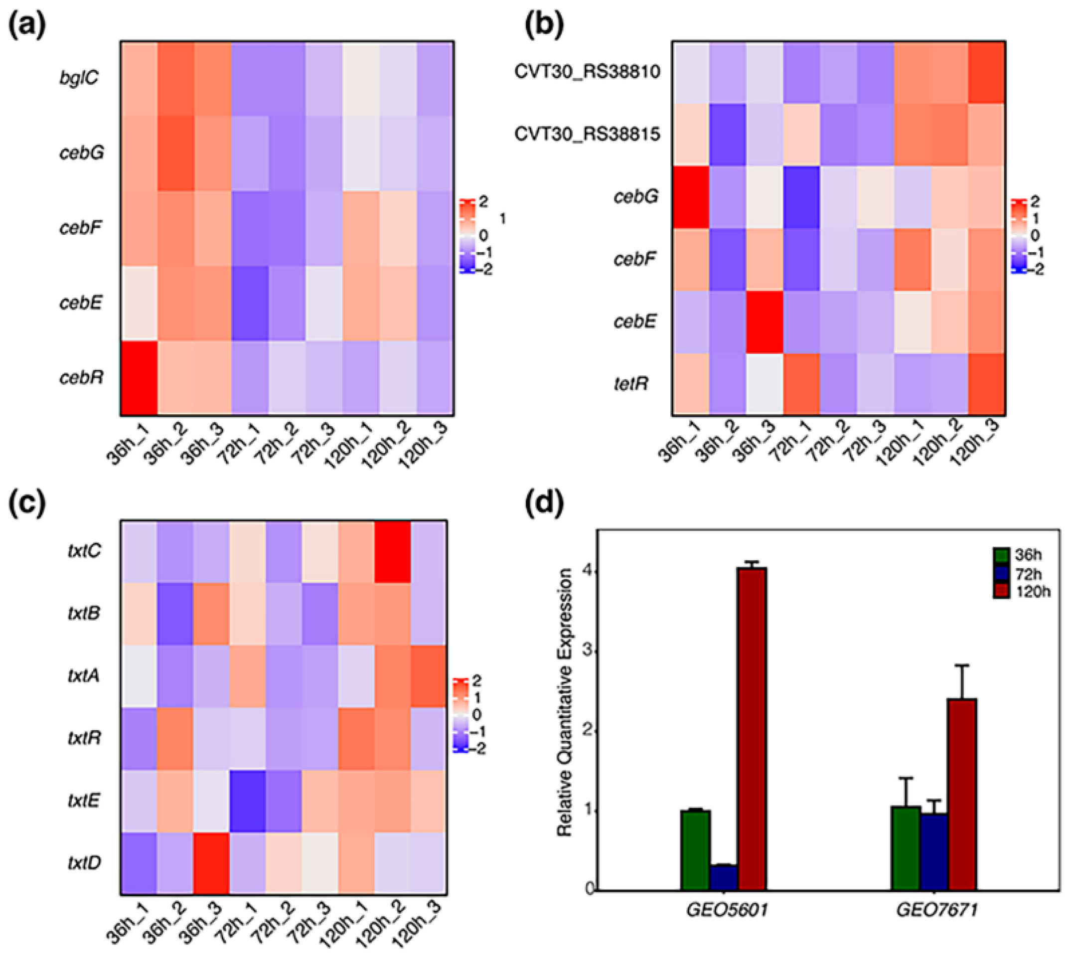 Microorganisms 12 00499 g006